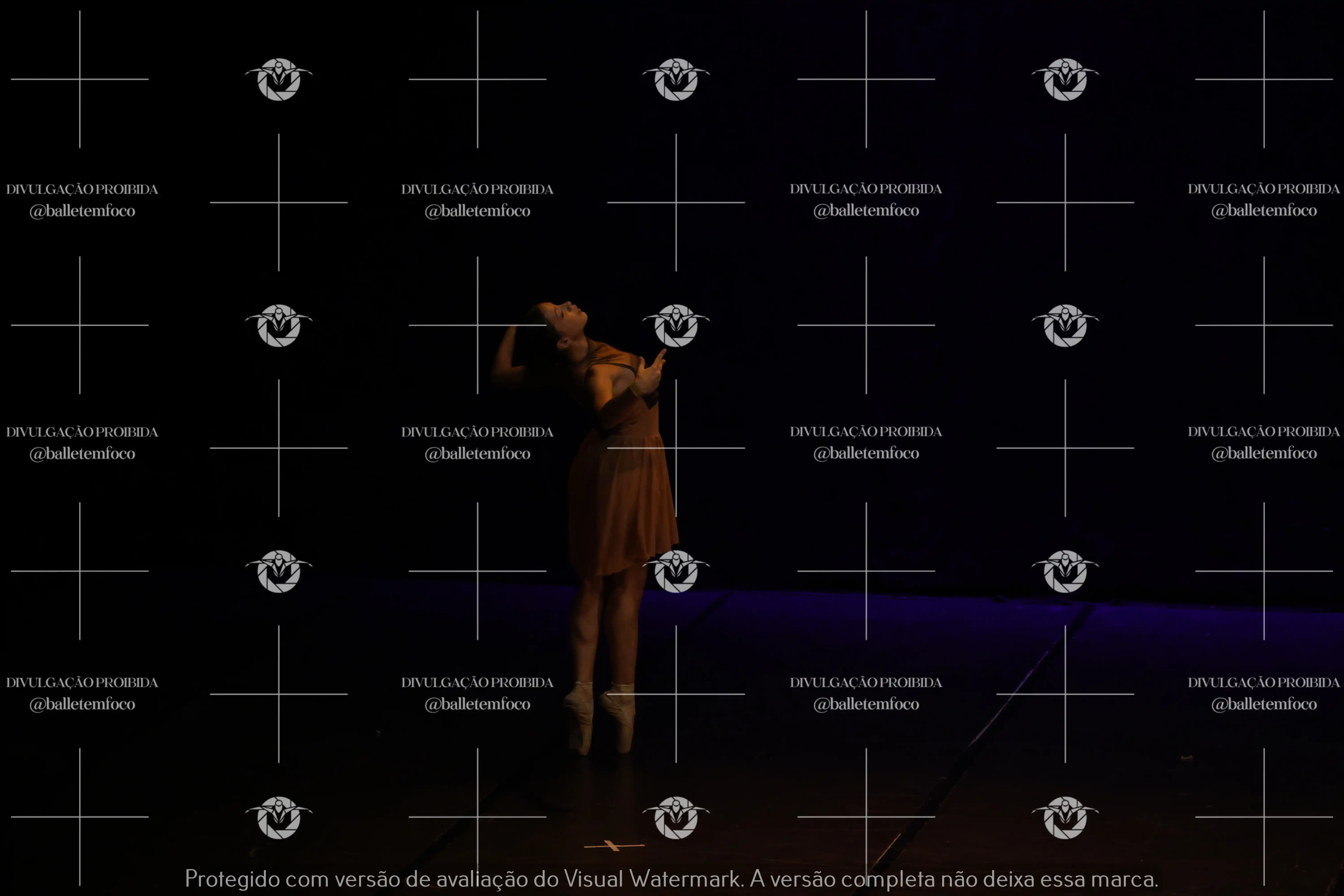 0925_45A (21) (1).webp