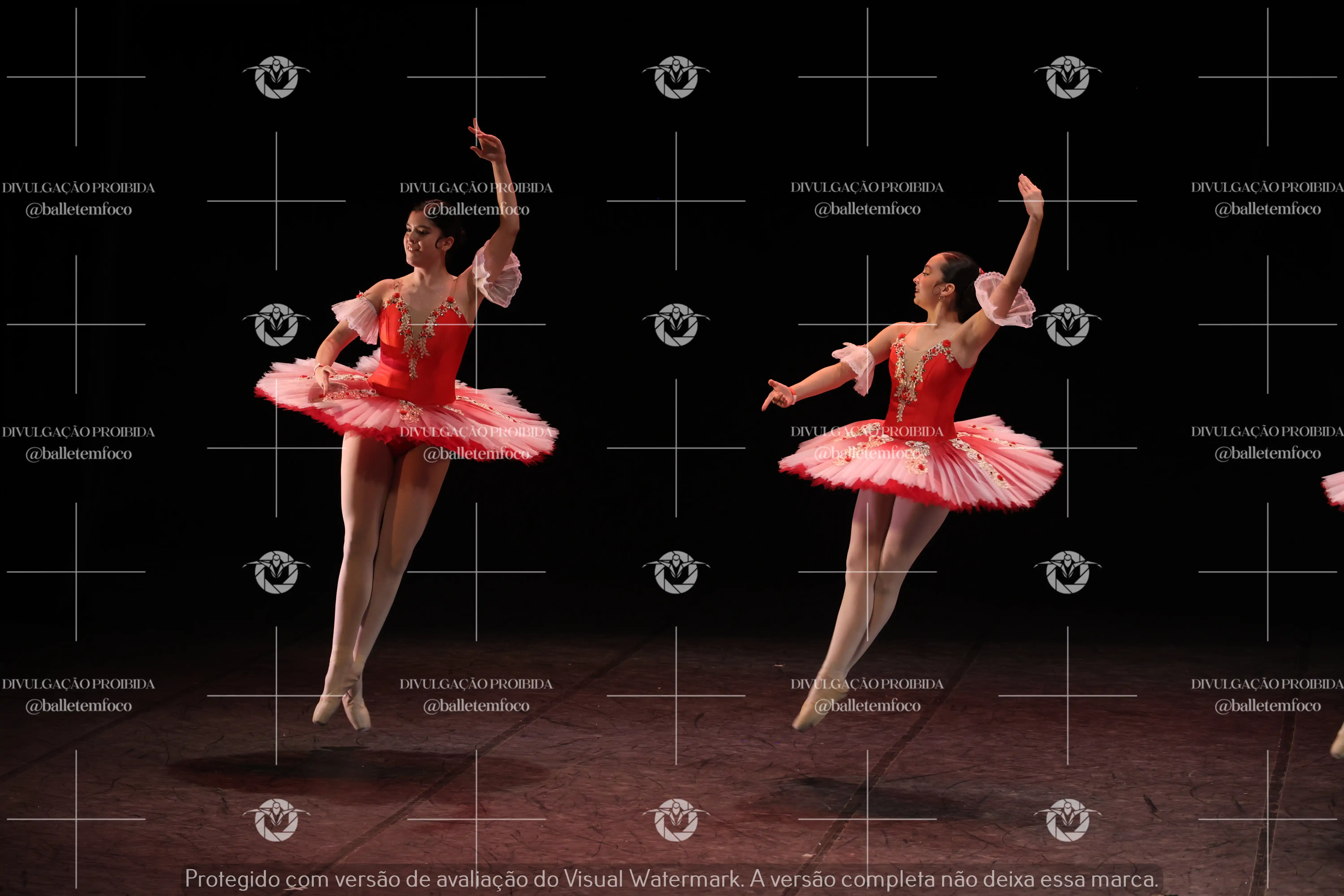 1325_194C (106).webp