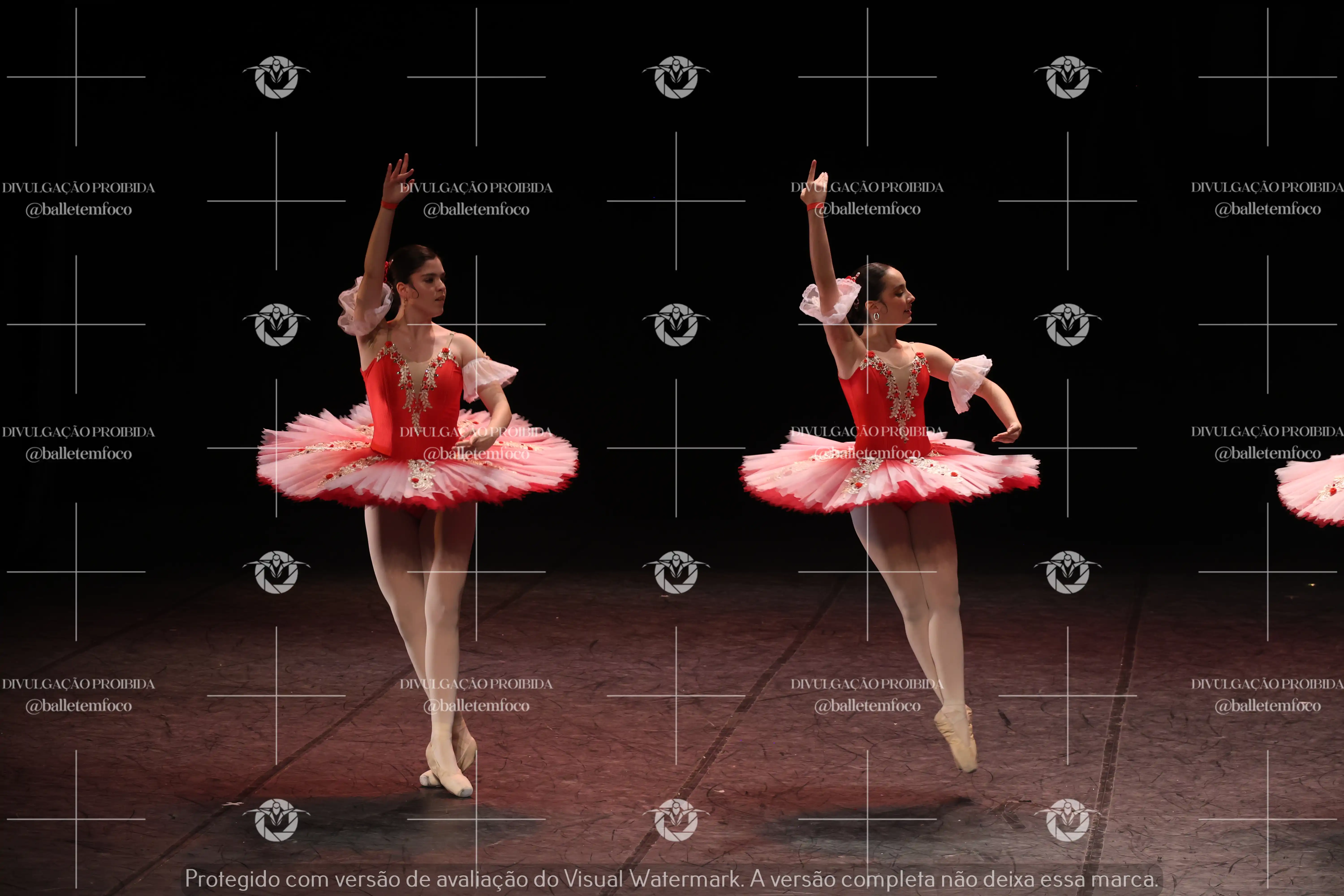 1325_194C (117).webp