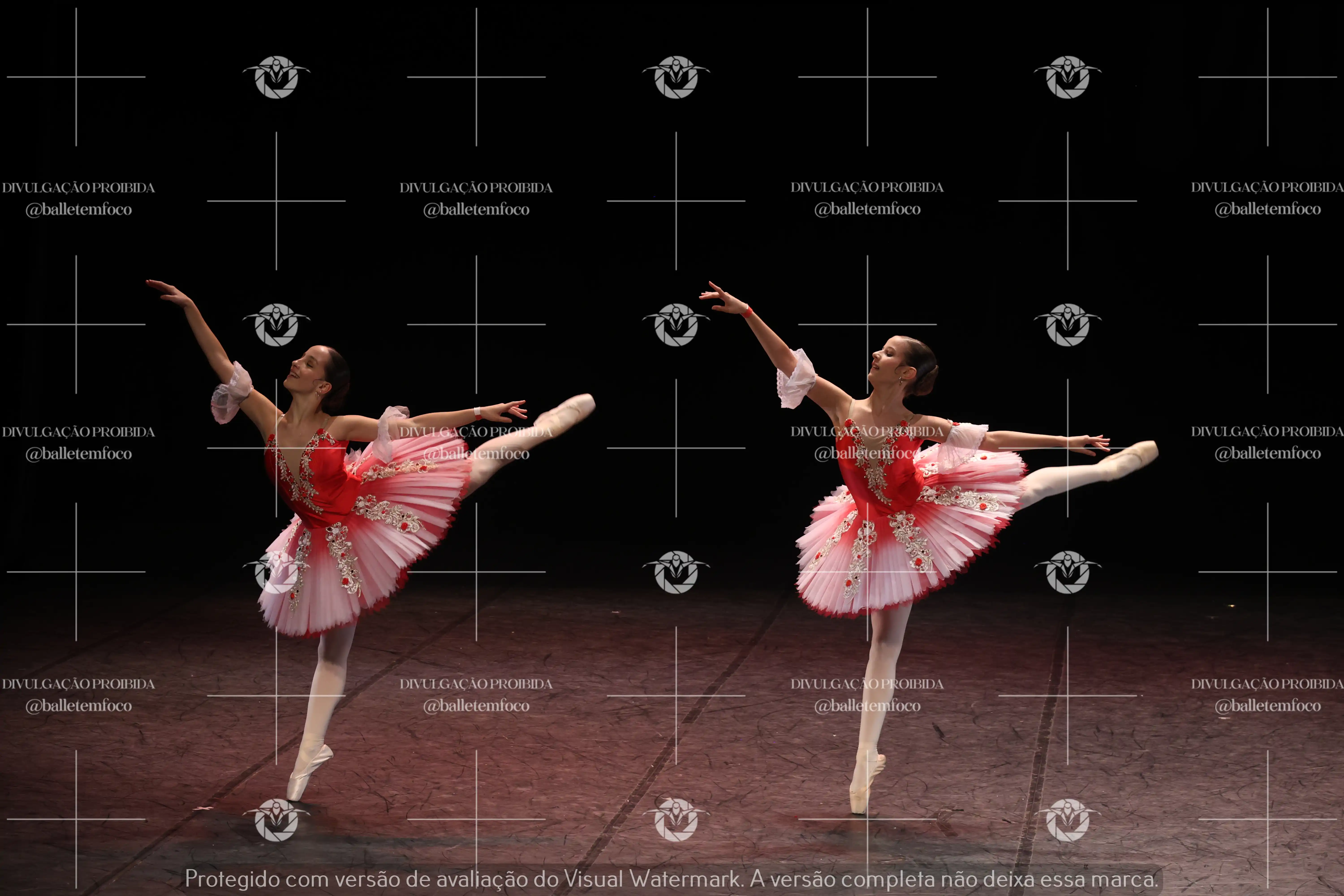 1325_194C (128).webp