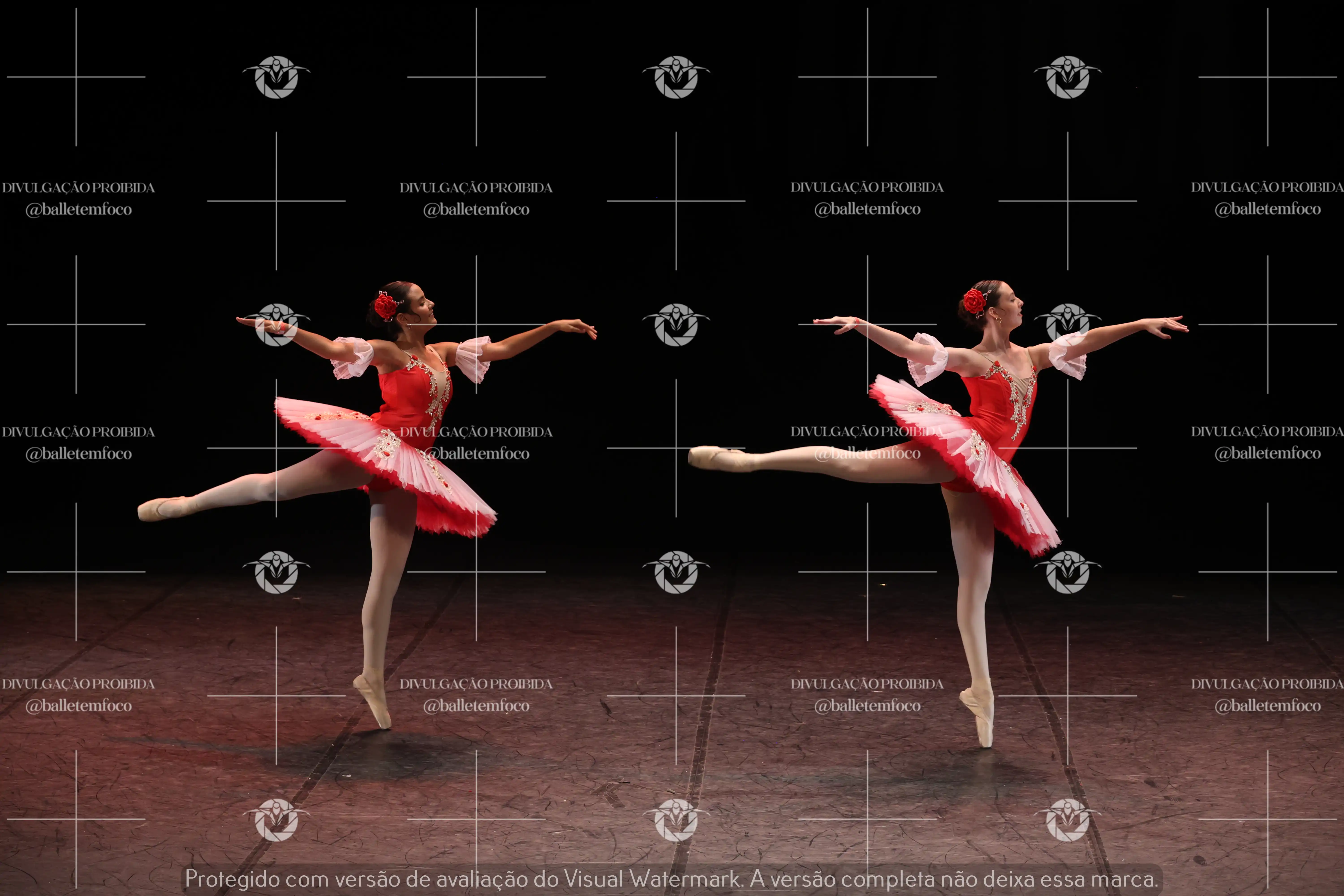 1325_194C (135).webp