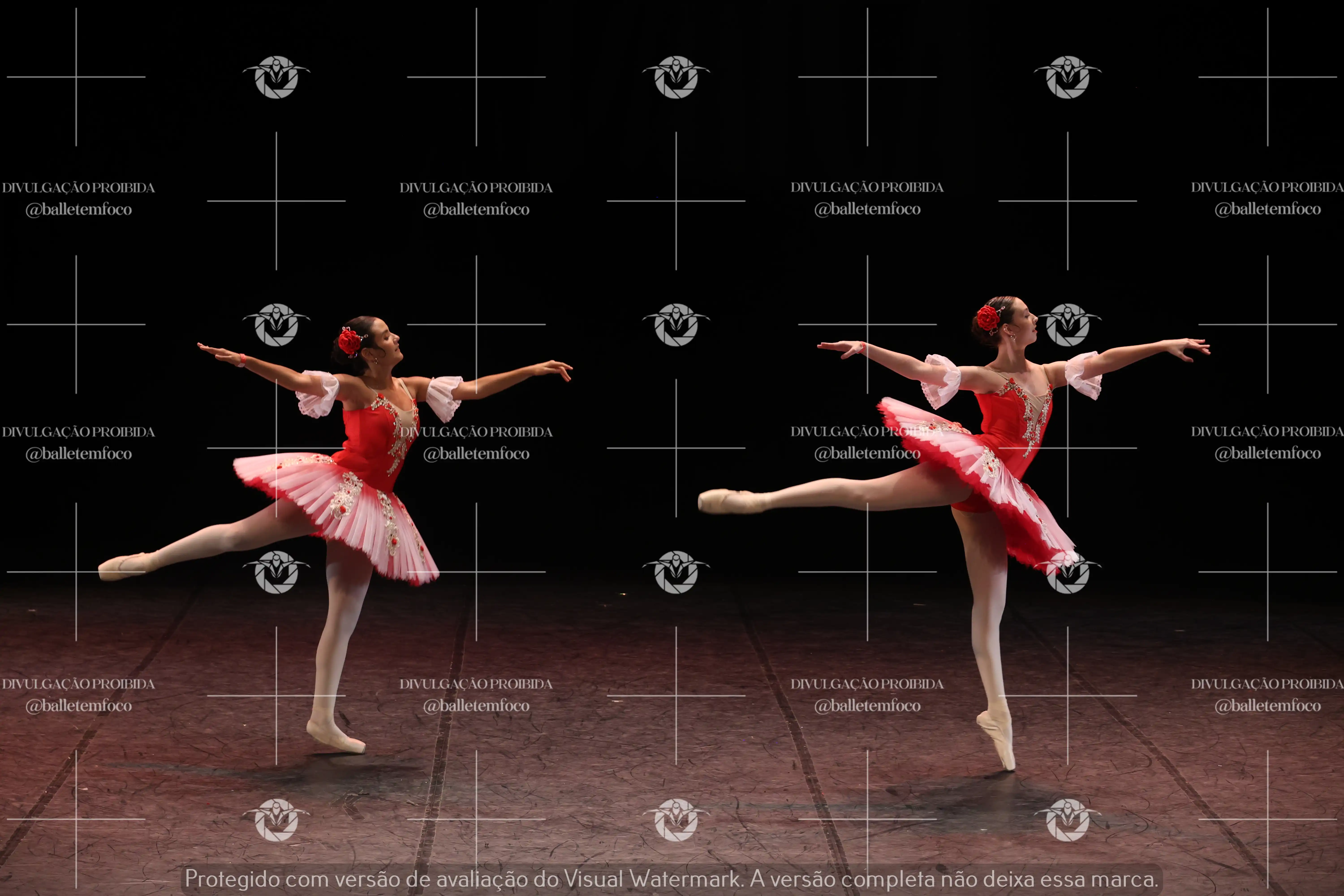 1325_194C (137).webp