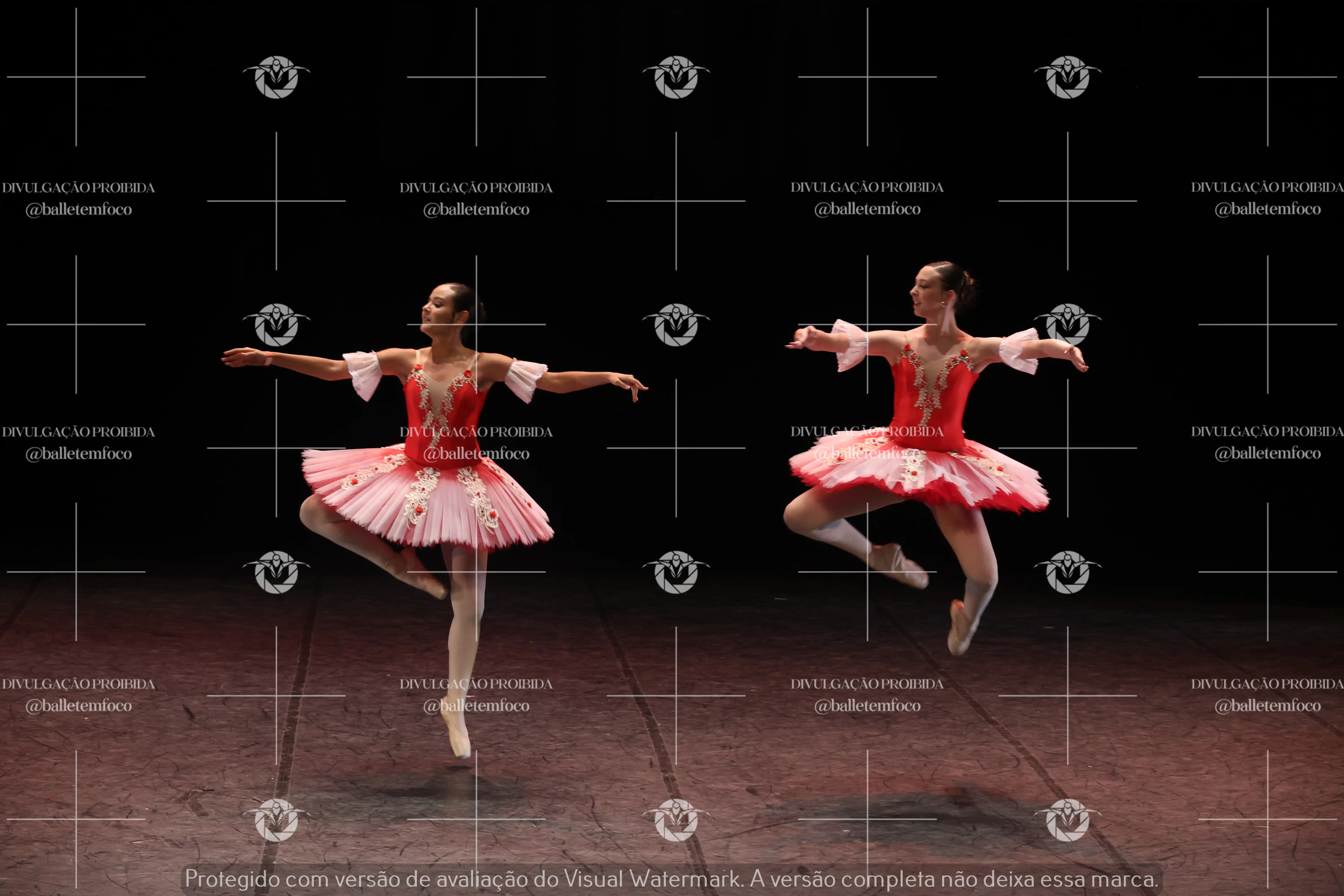 1325_194C (141).webp