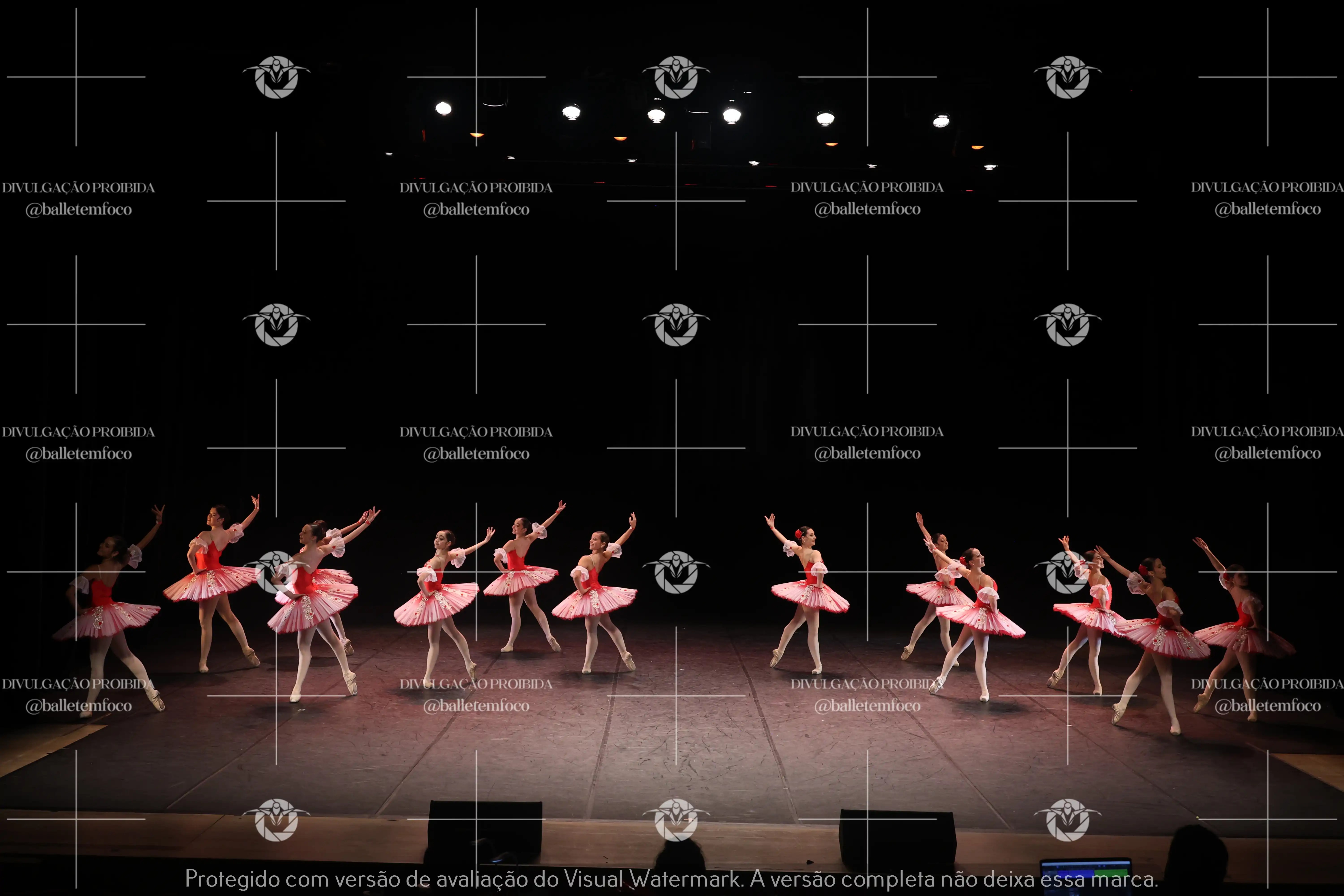 1325_194C (171).webp