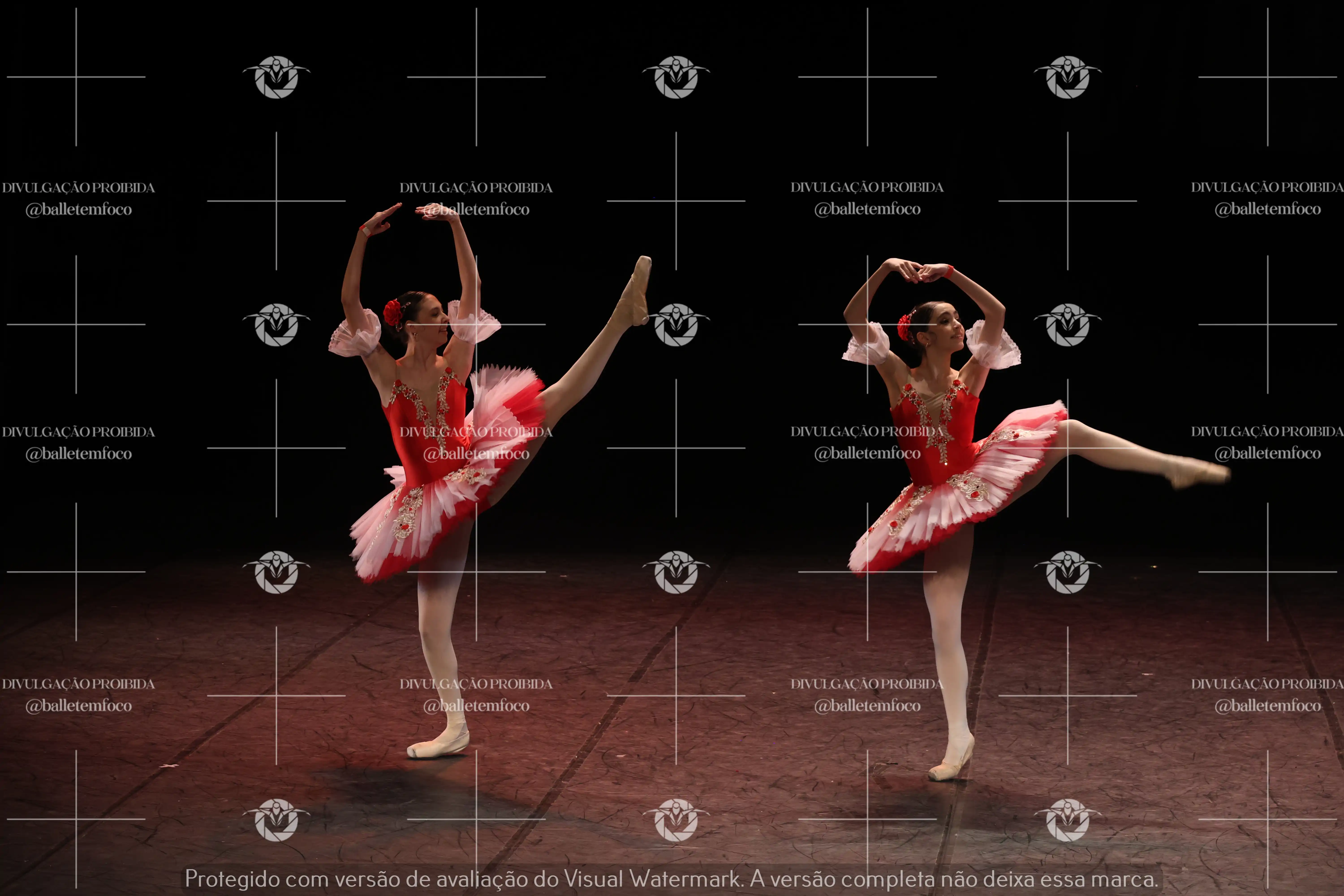 1325_194C (176).webp