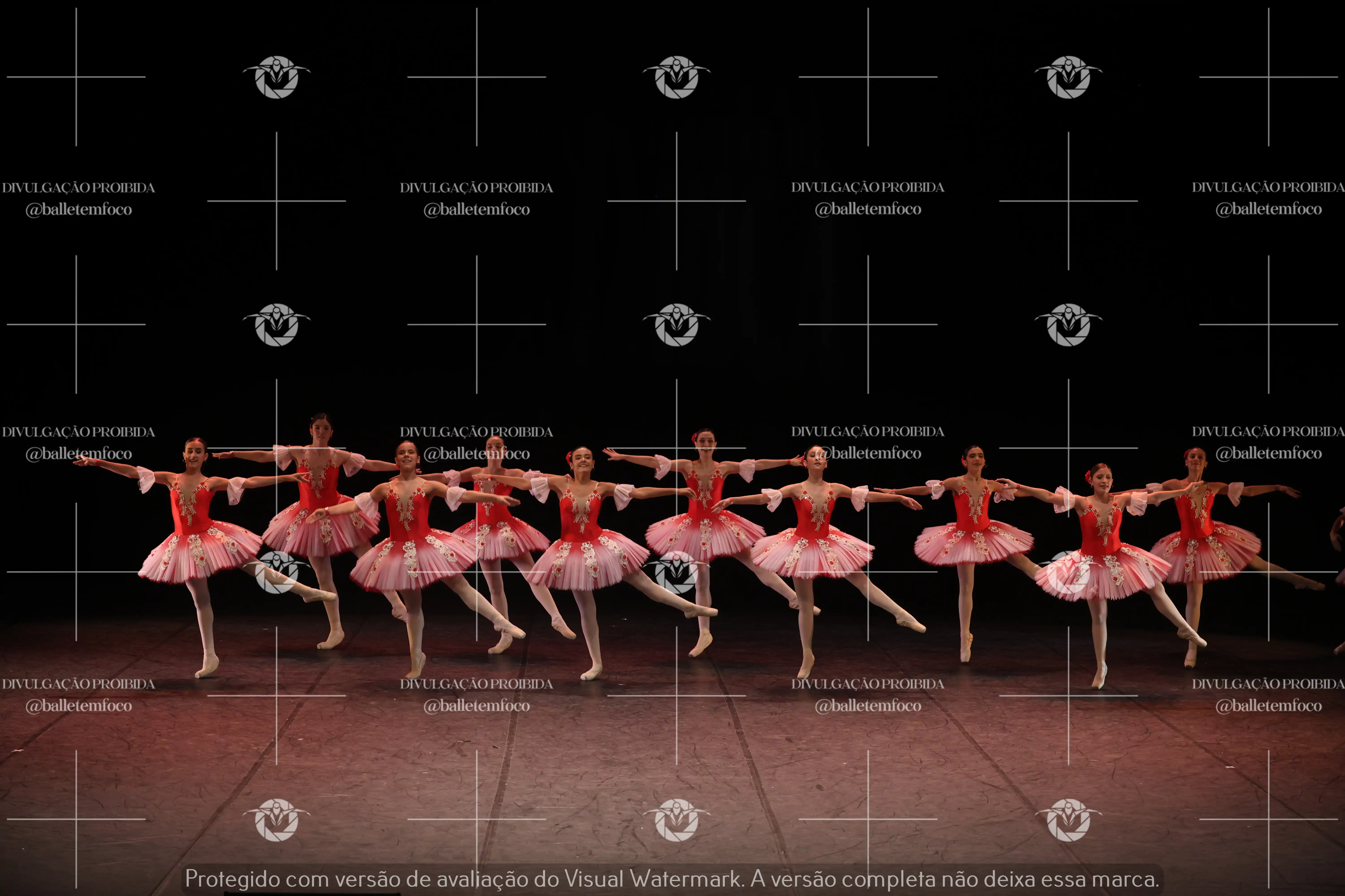 1325_194C (184).webp