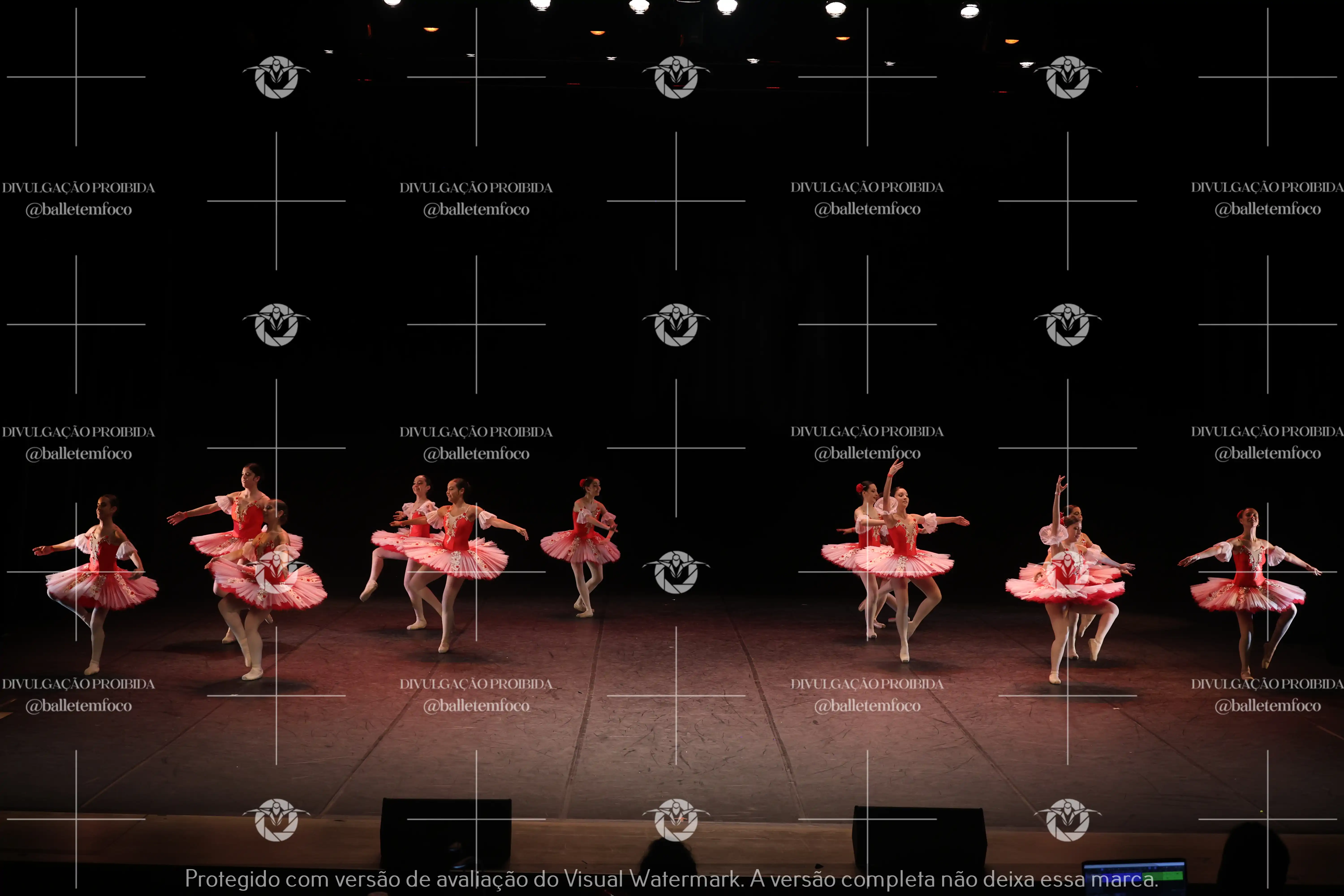 1325_194C (185).webp