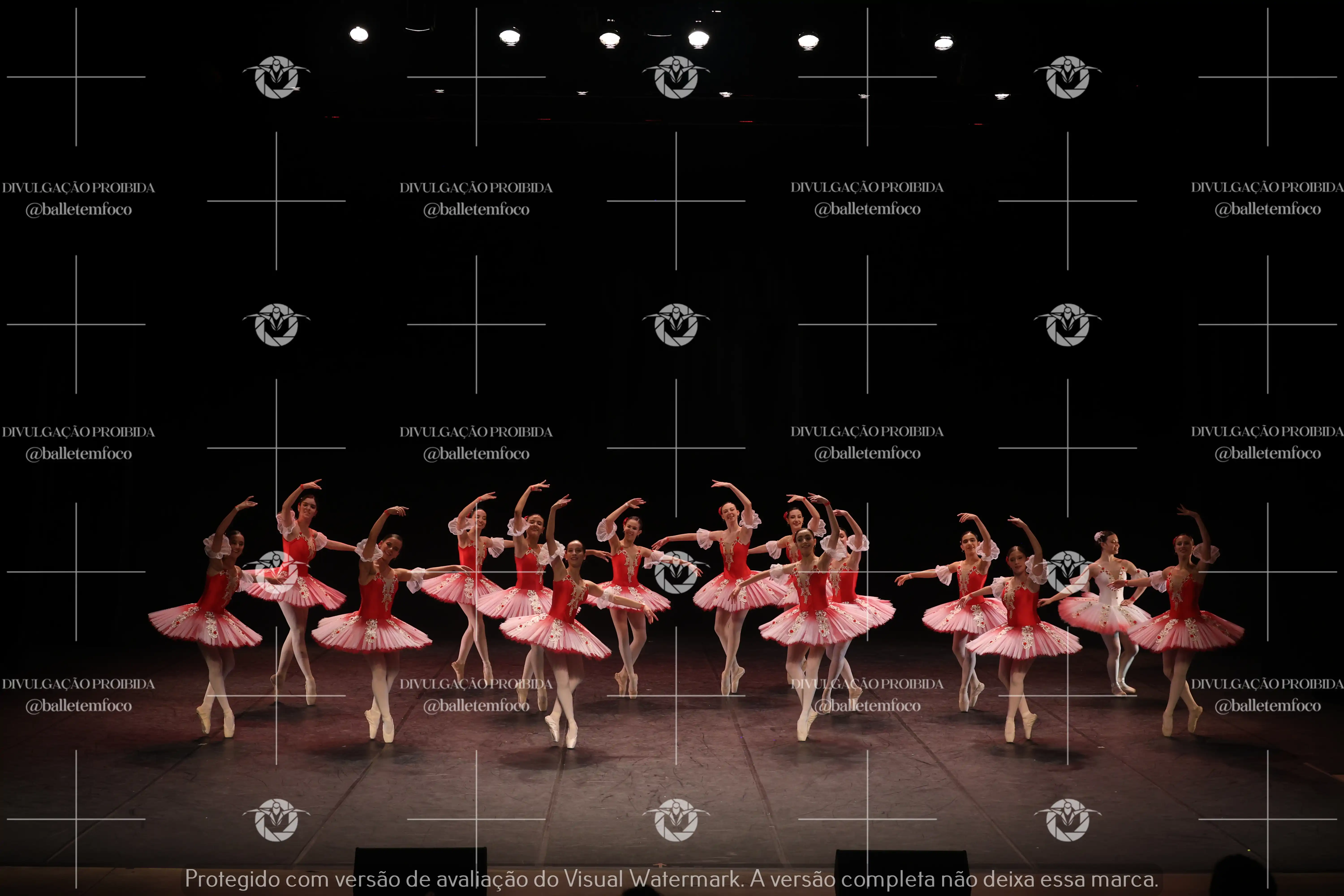 1325_194C (194).webp