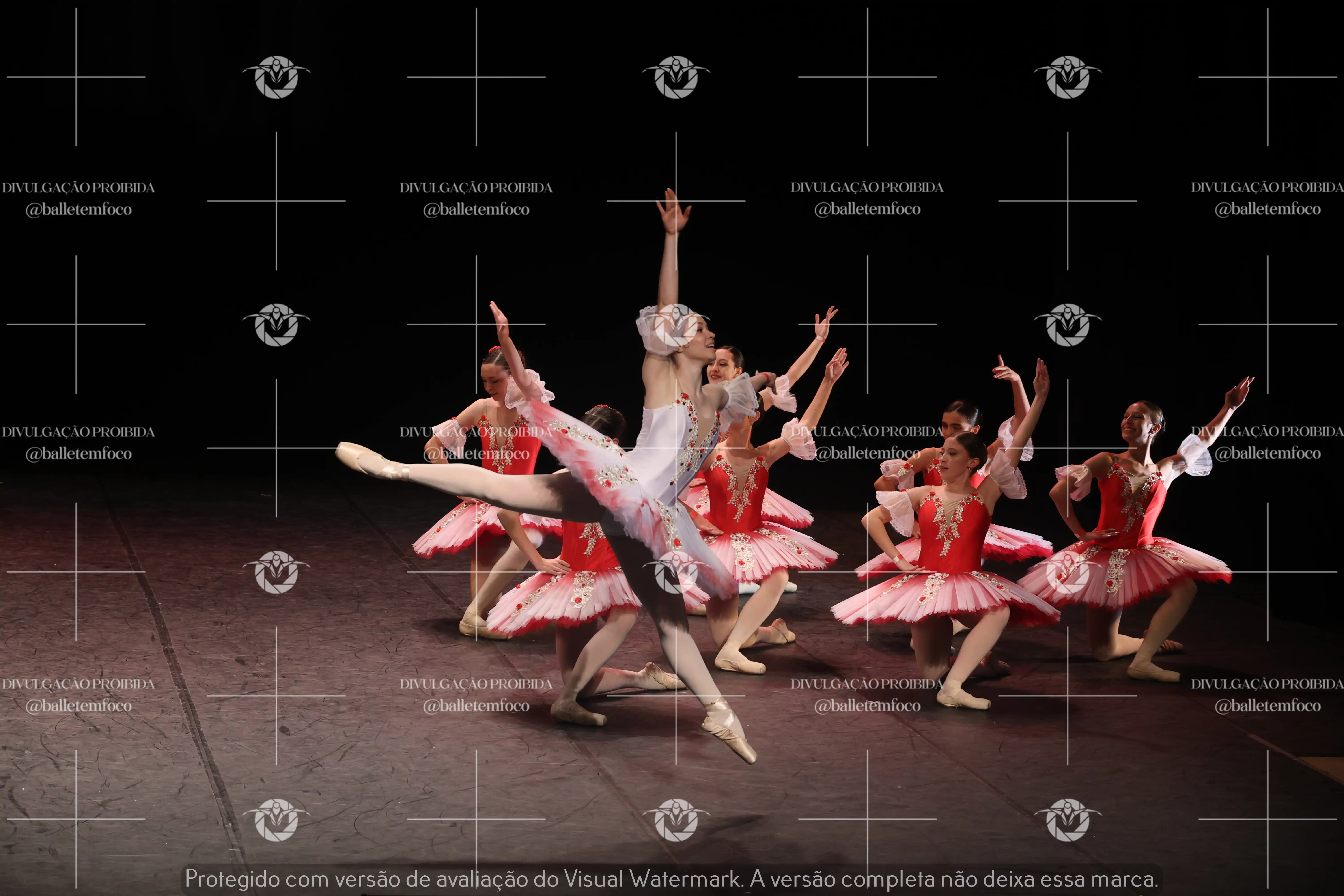 1325_194C (201).webp