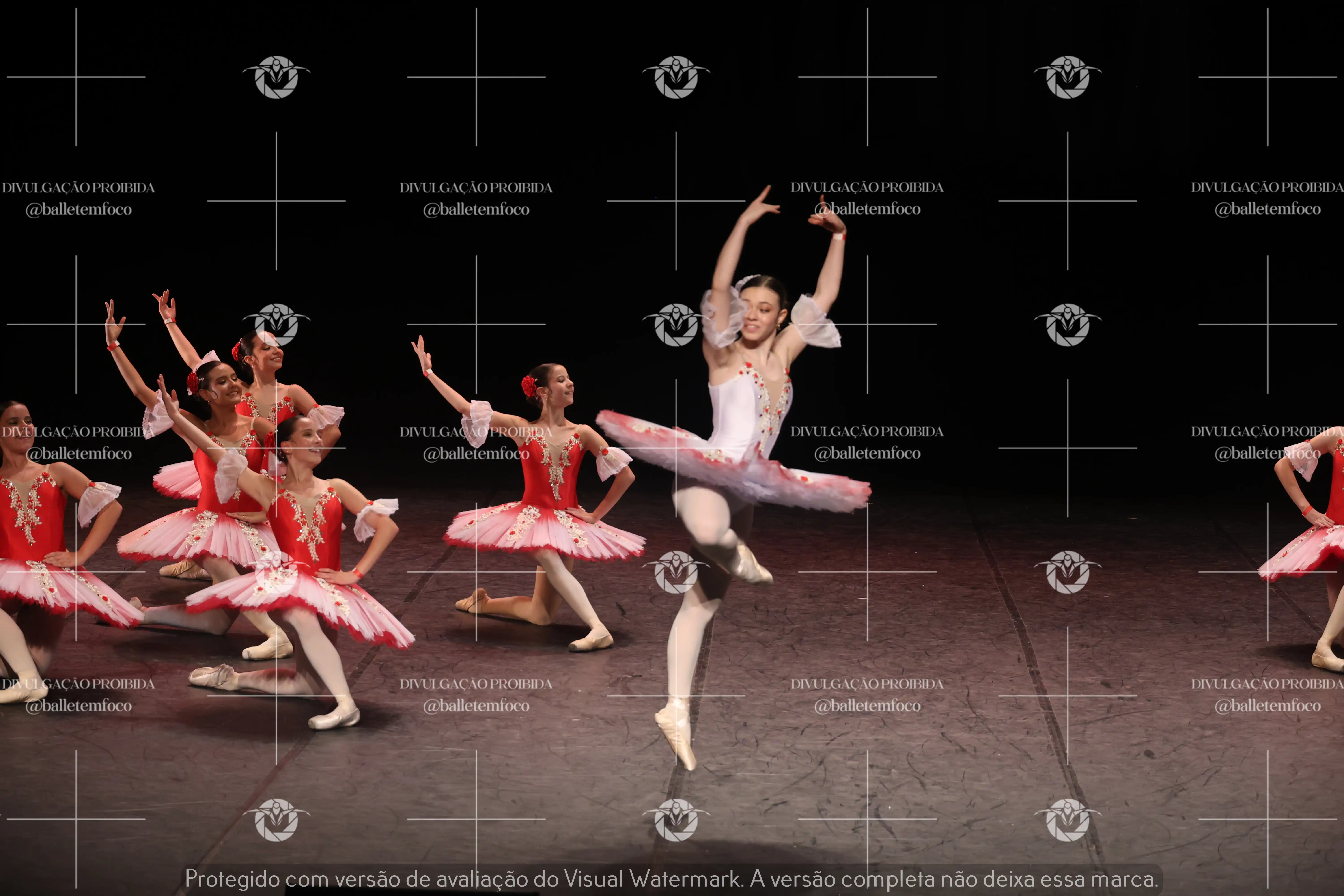 1325_194C (202).webp