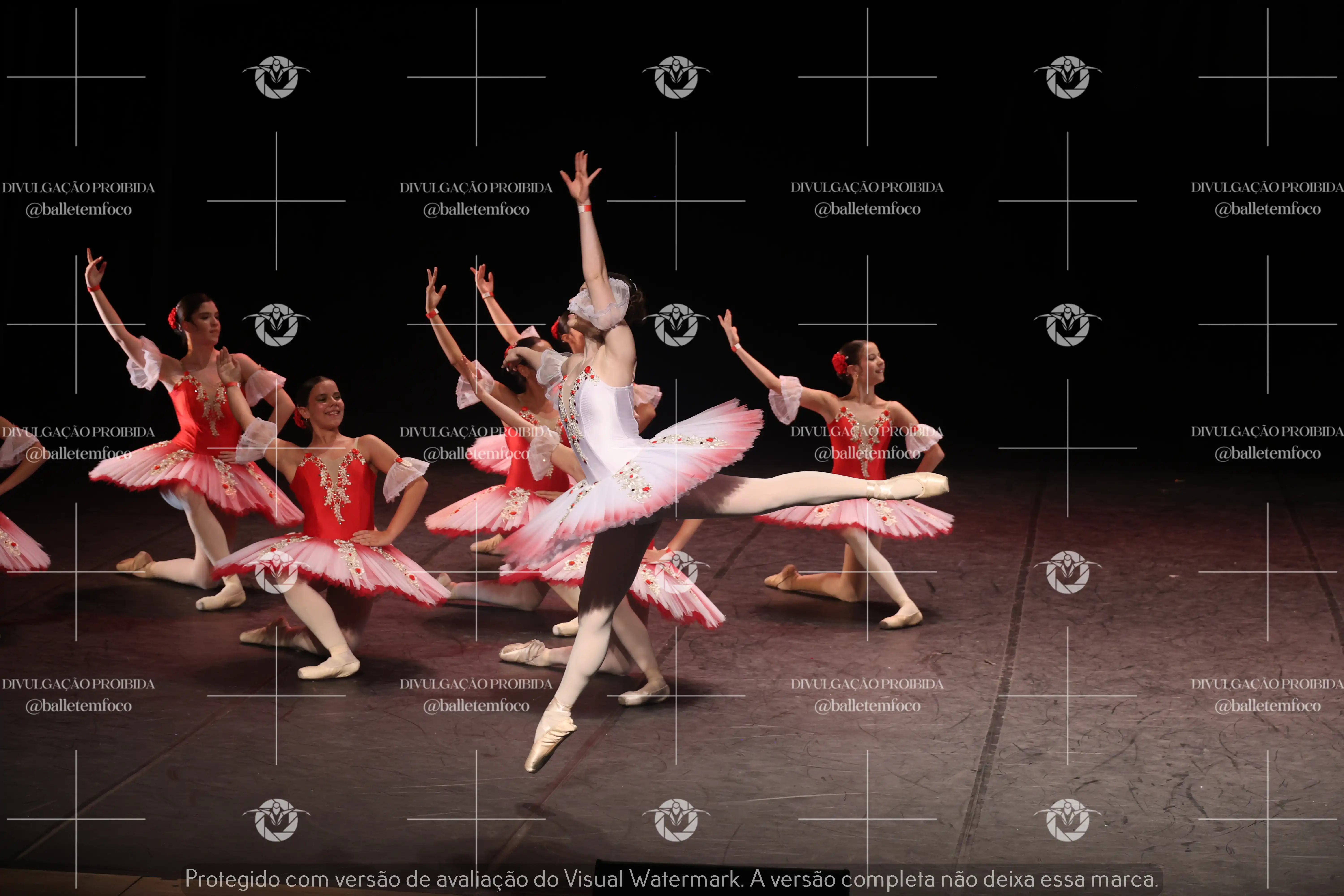 1325_194C (203).webp