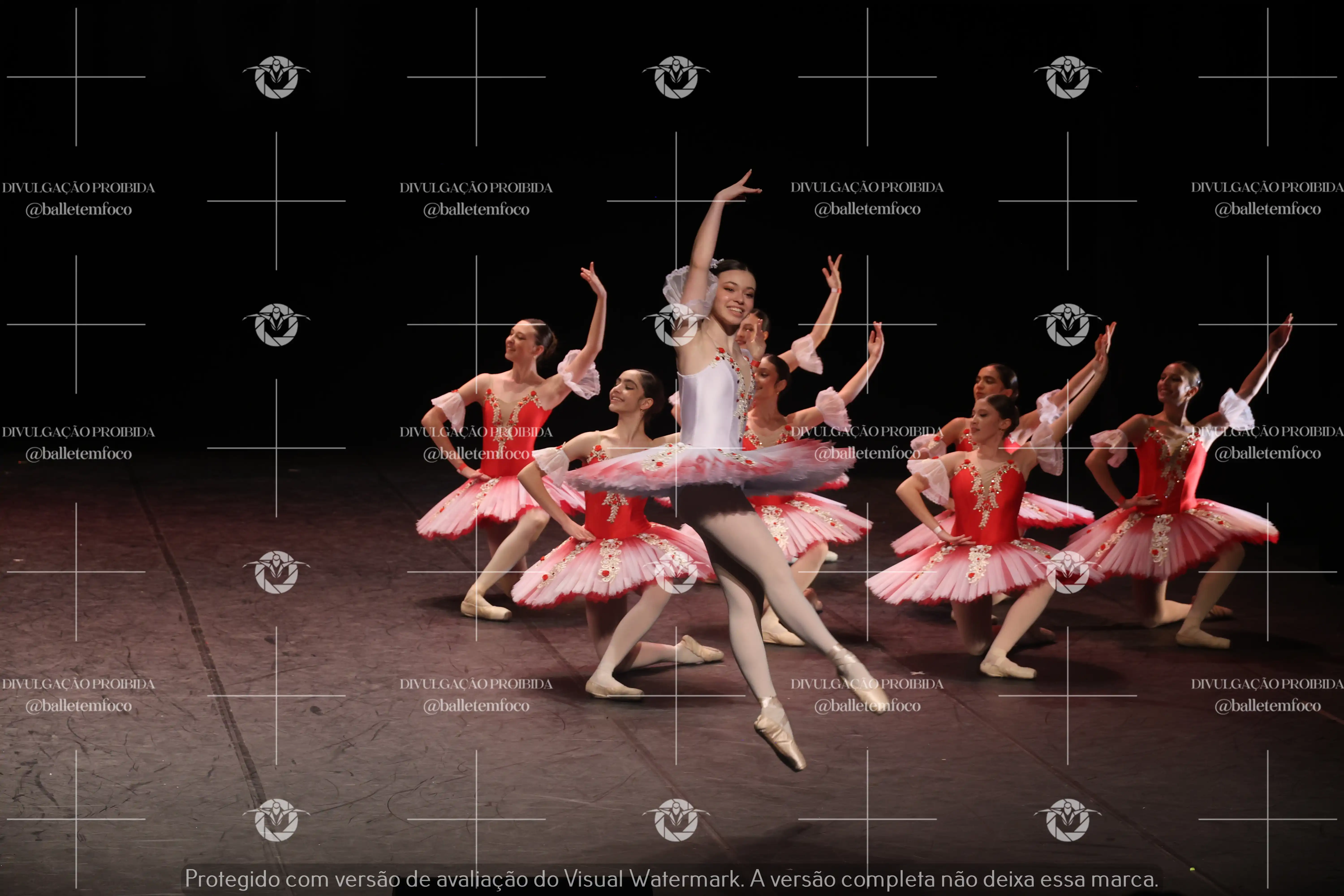 1325_194C (204).webp