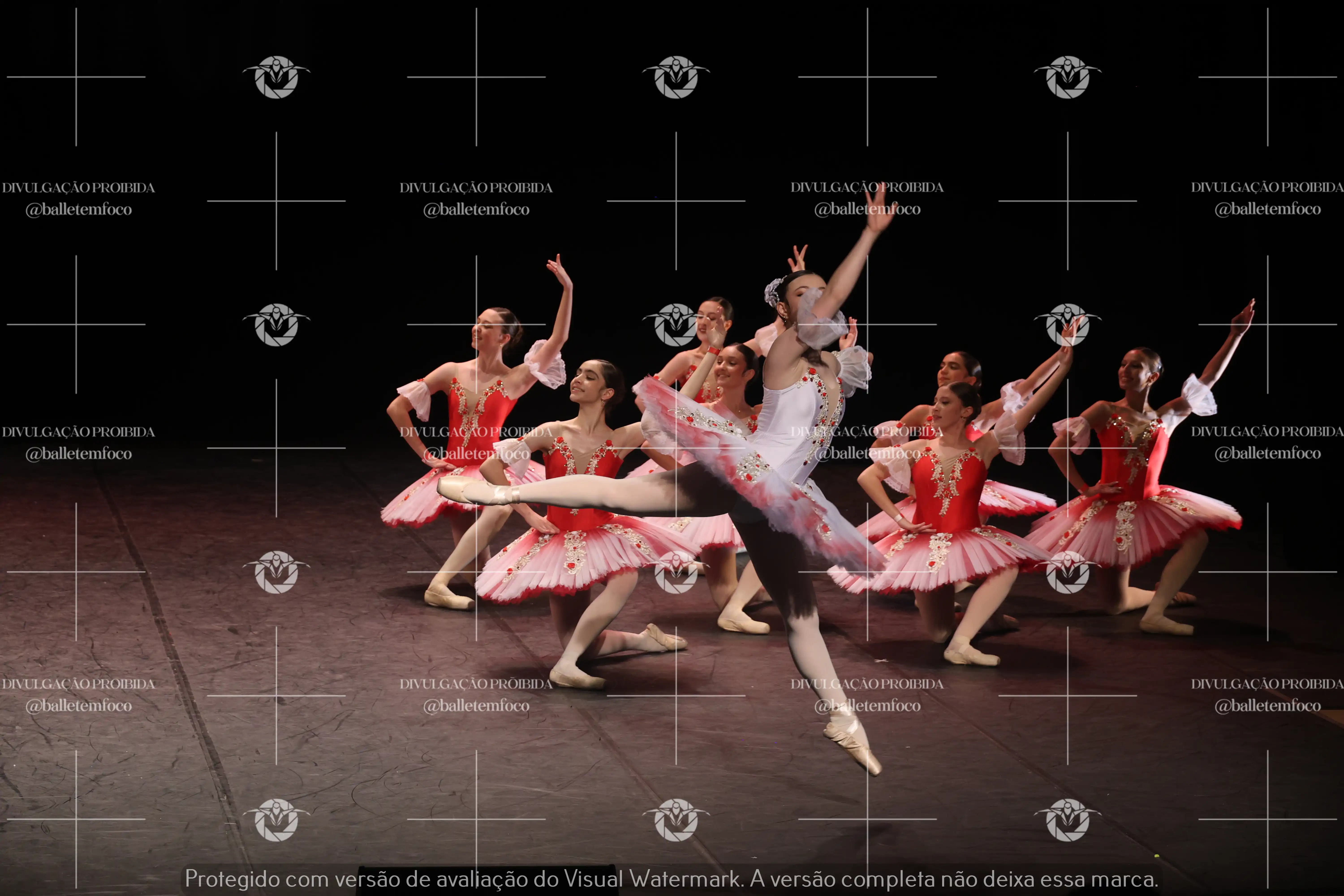 1325_194C (205).webp