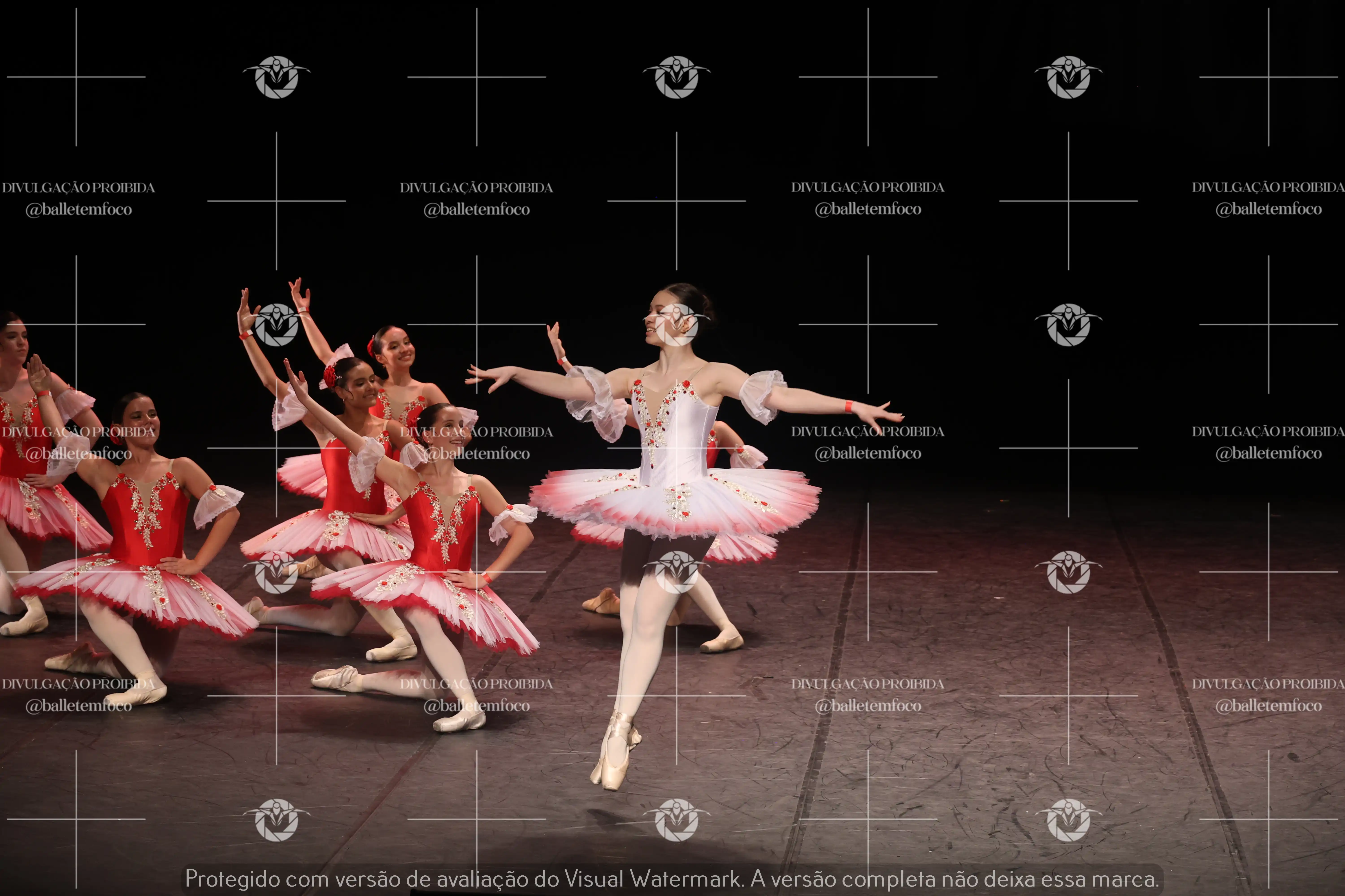 1325_194C (206).webp