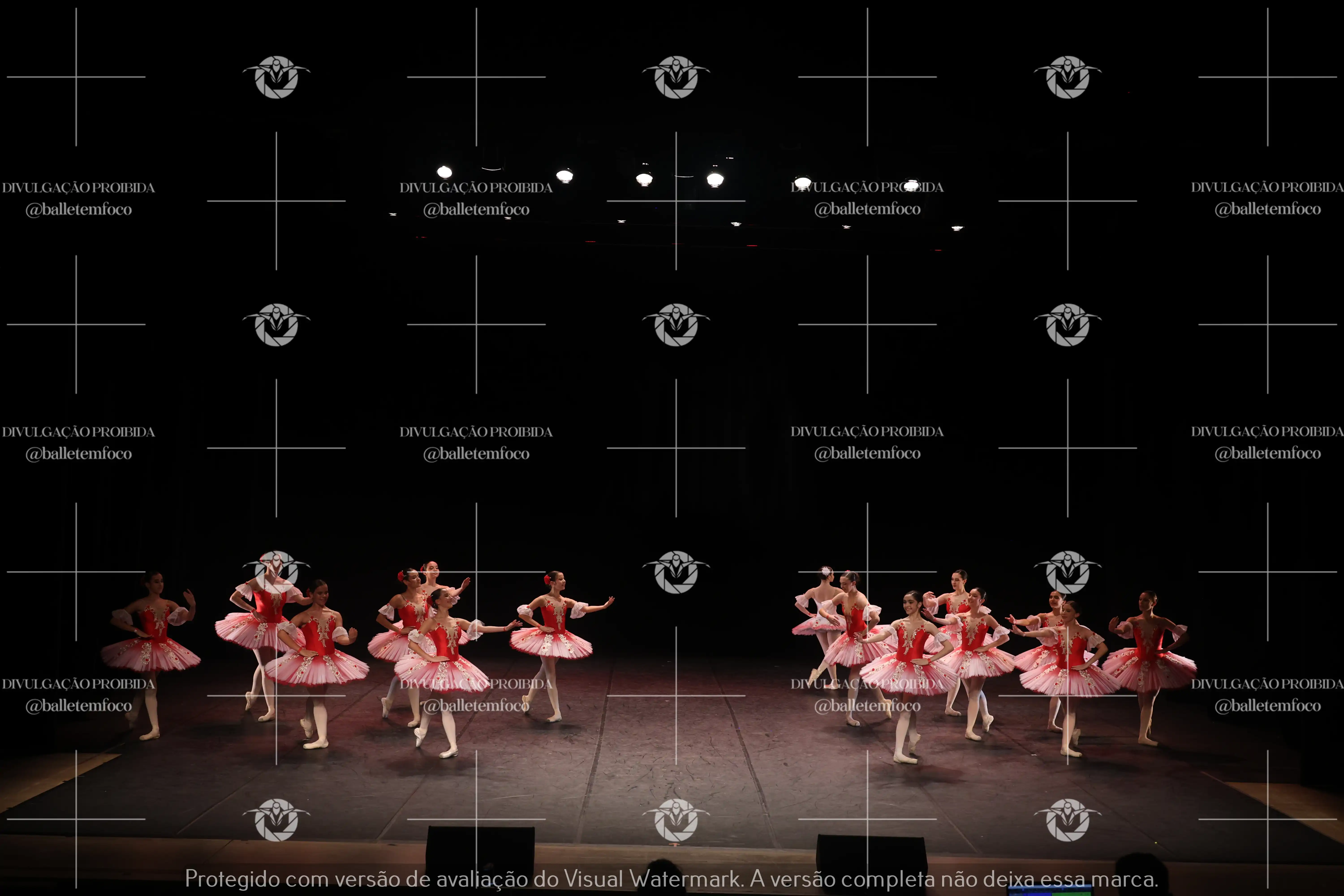 1325_194C (208).webp