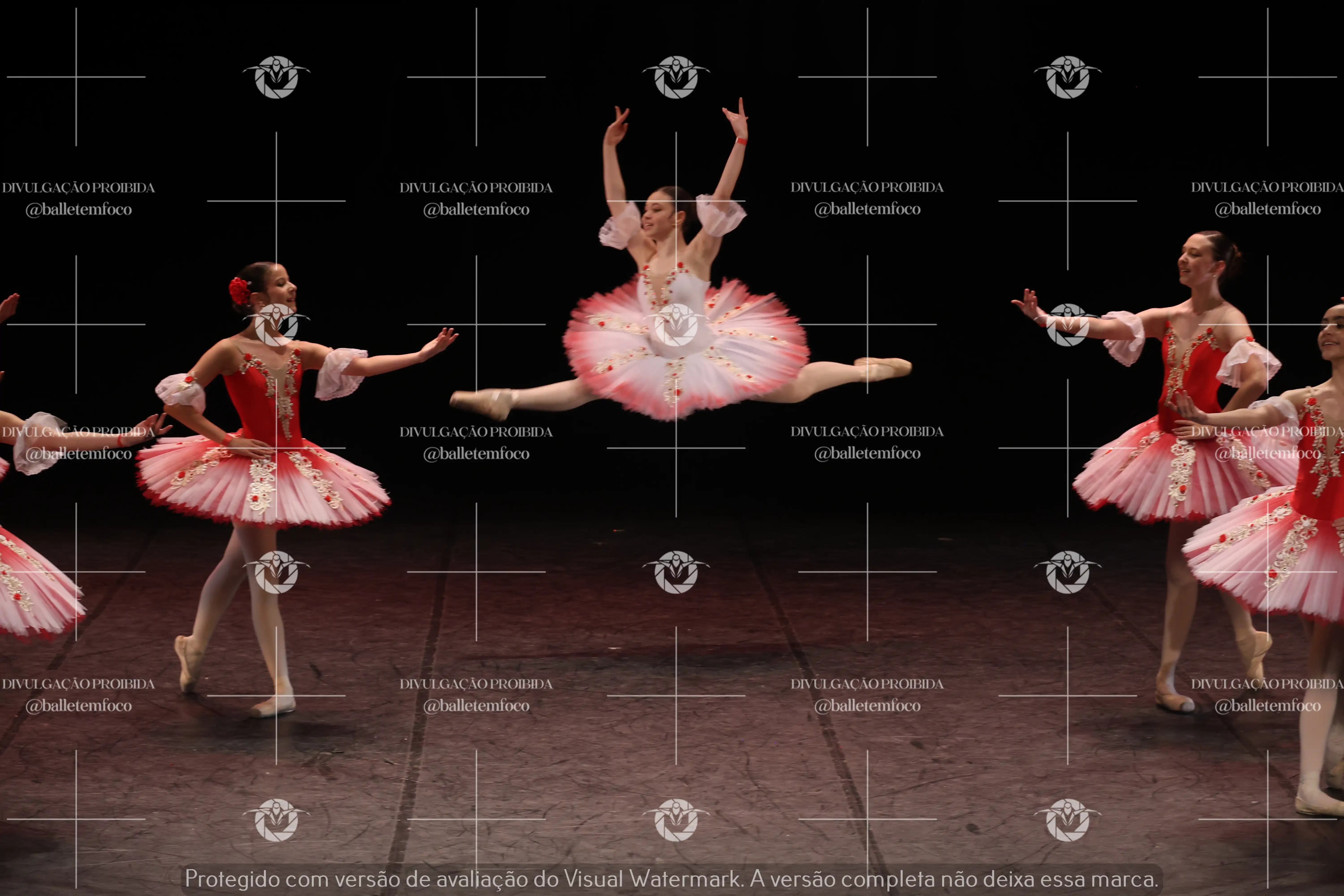 1325_194C (209).webp