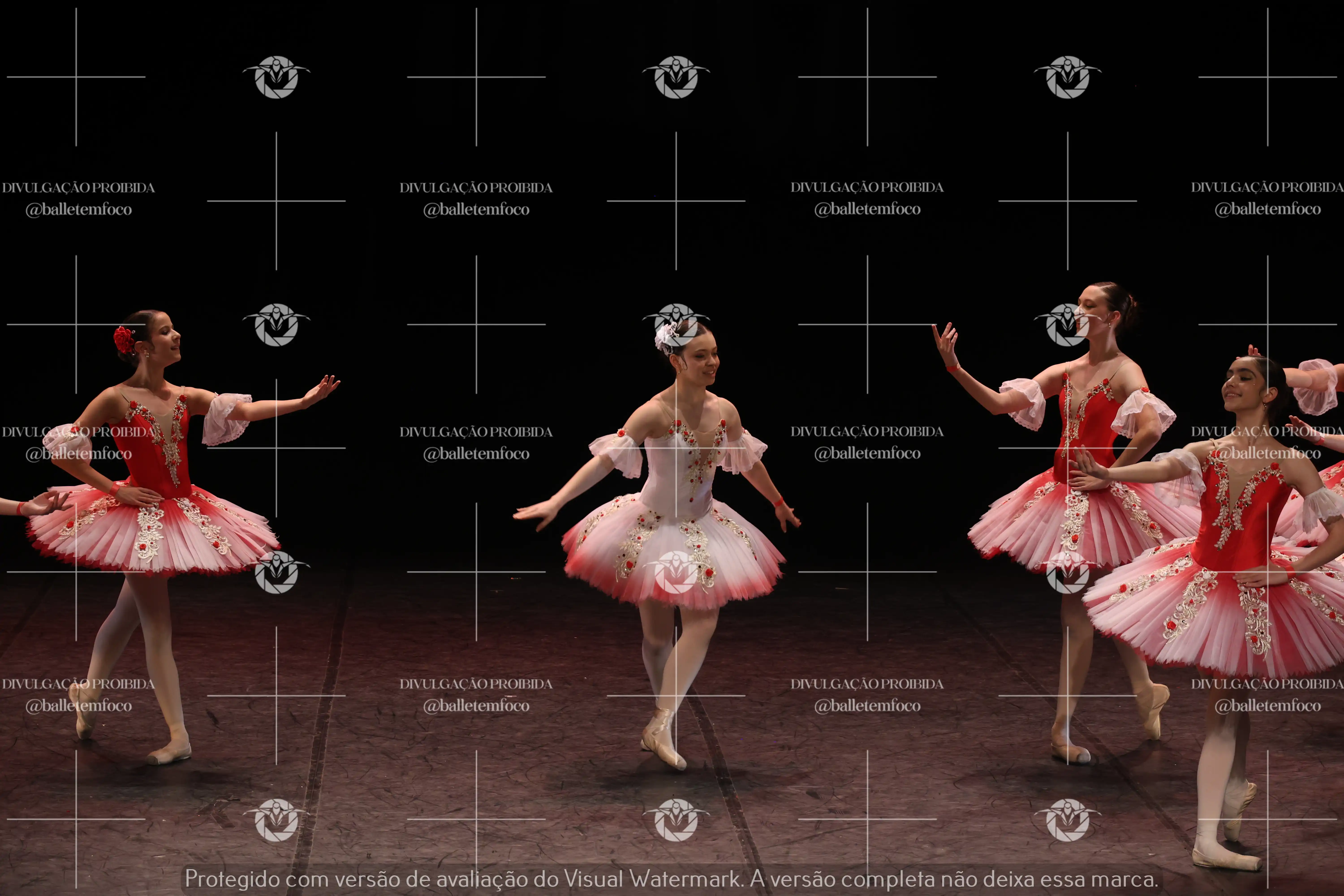 1325_194C (210).webp