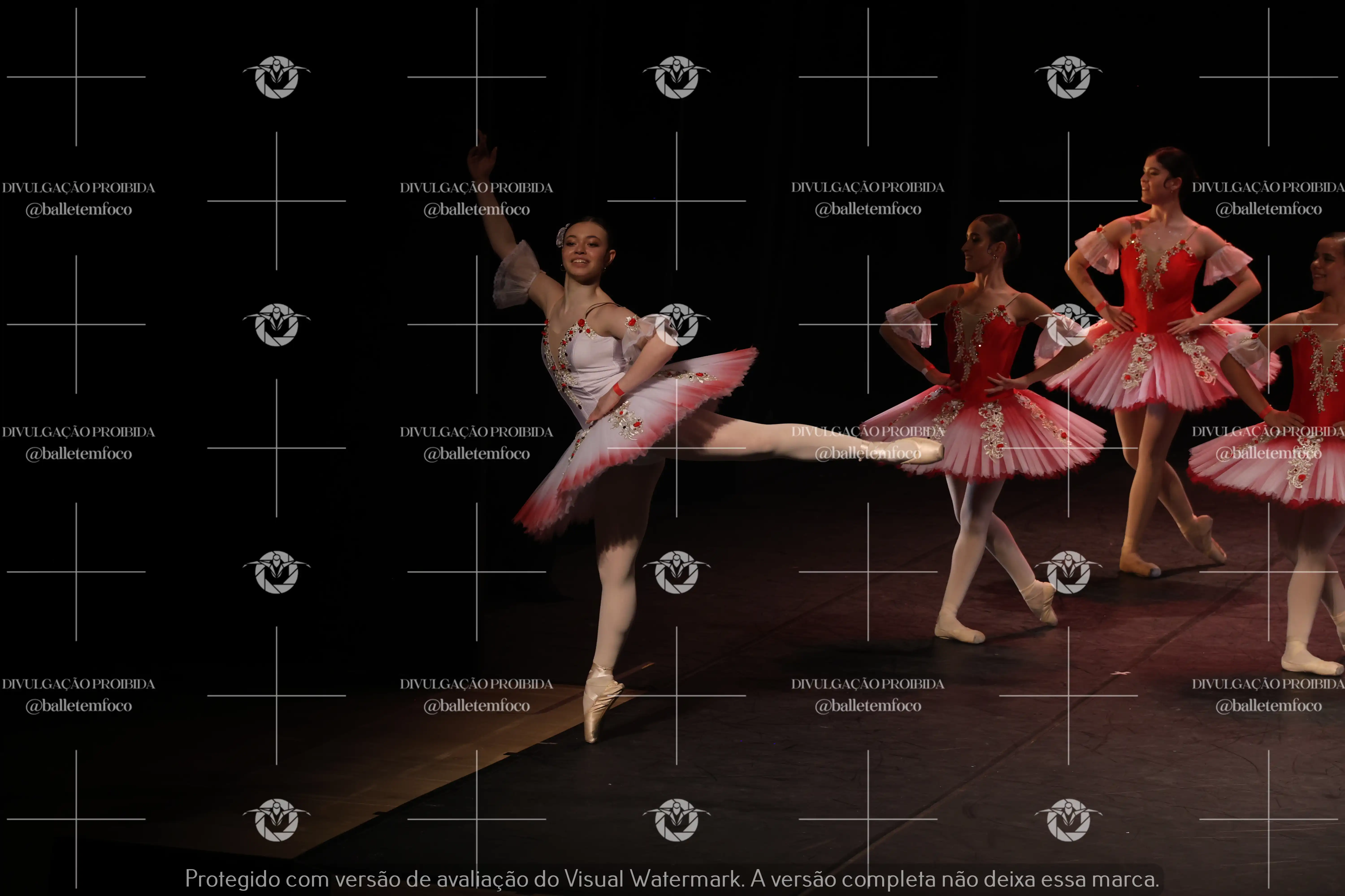 1325_194C (211).webp