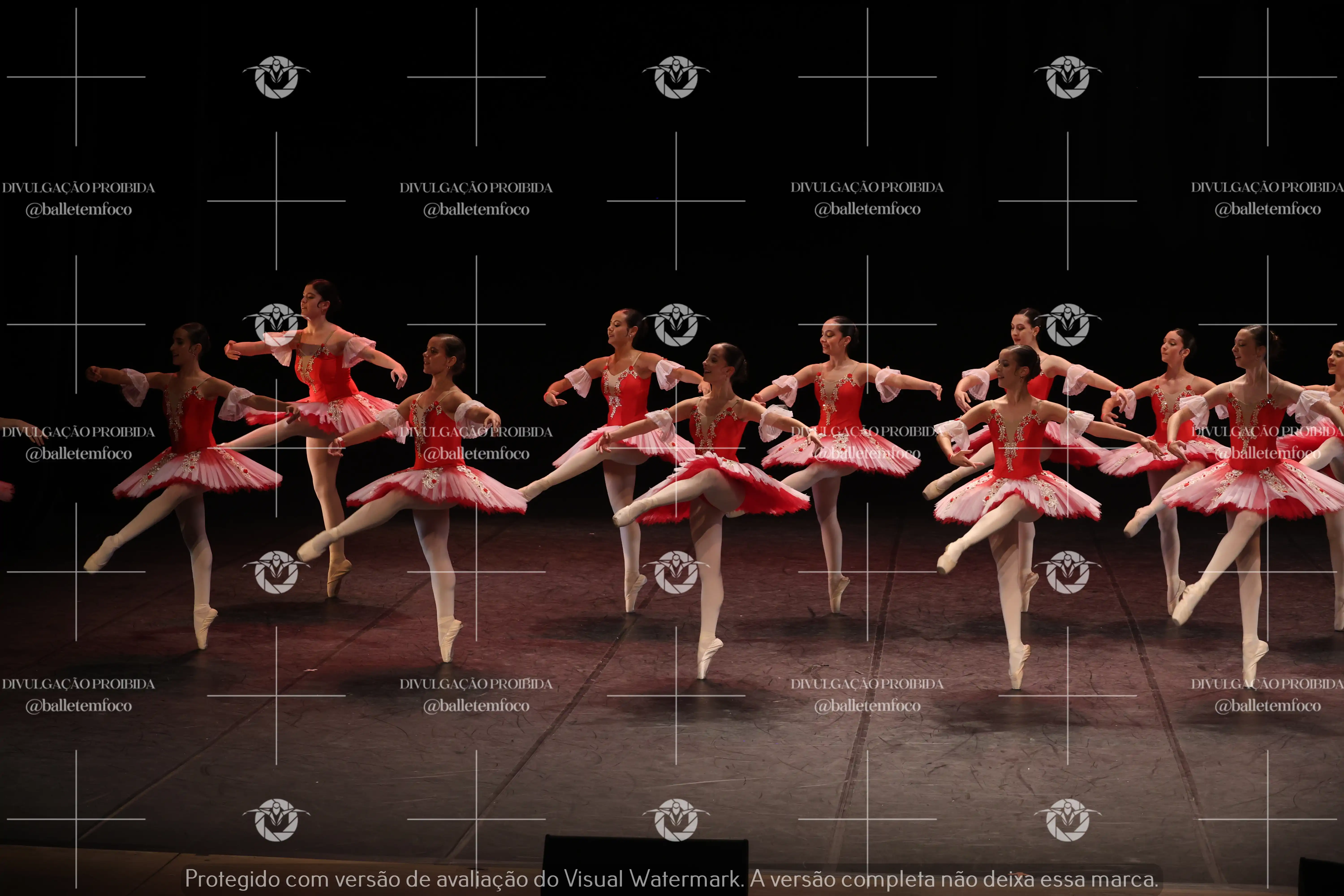 1325_194C (212).webp