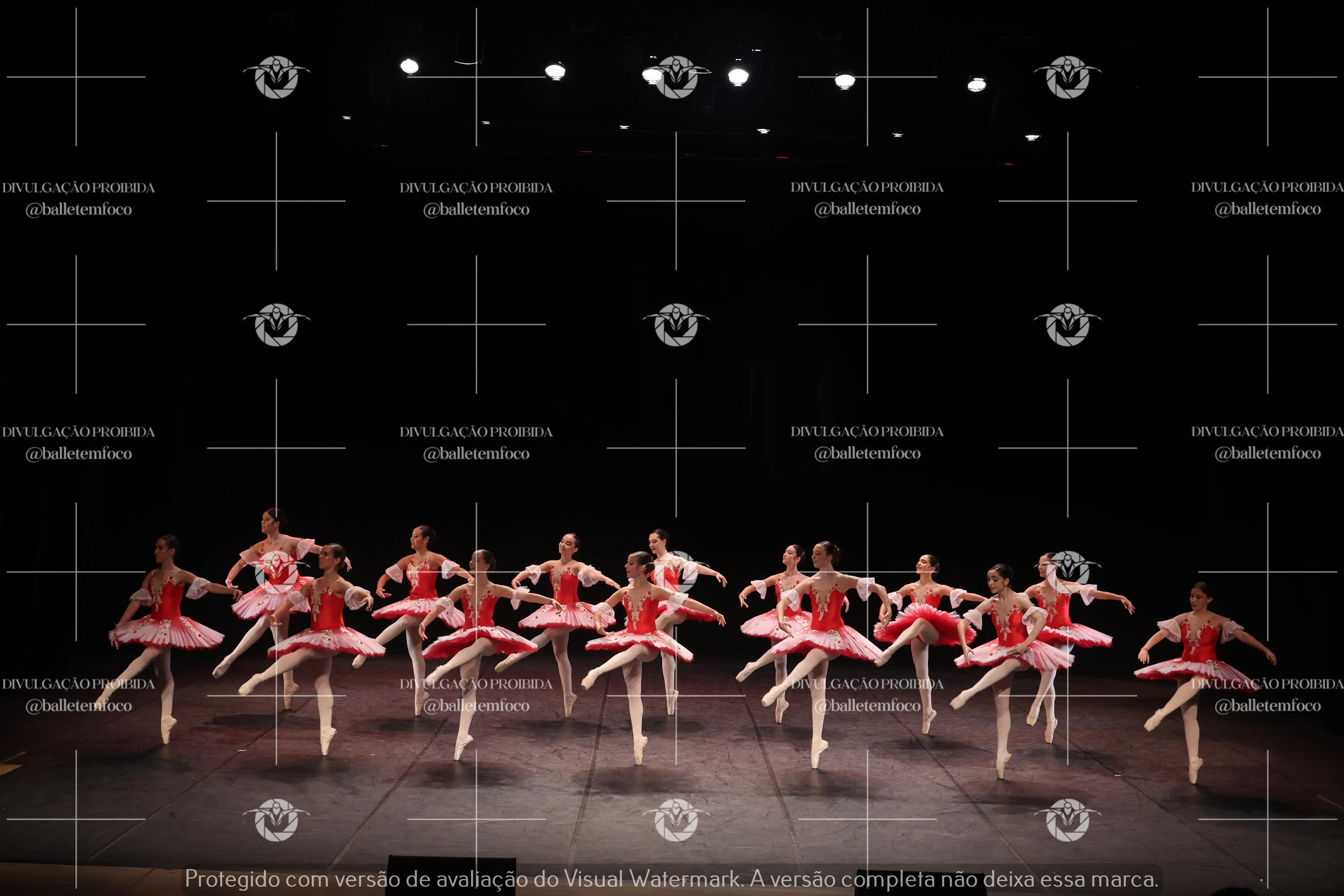 1325_194C (218).webp