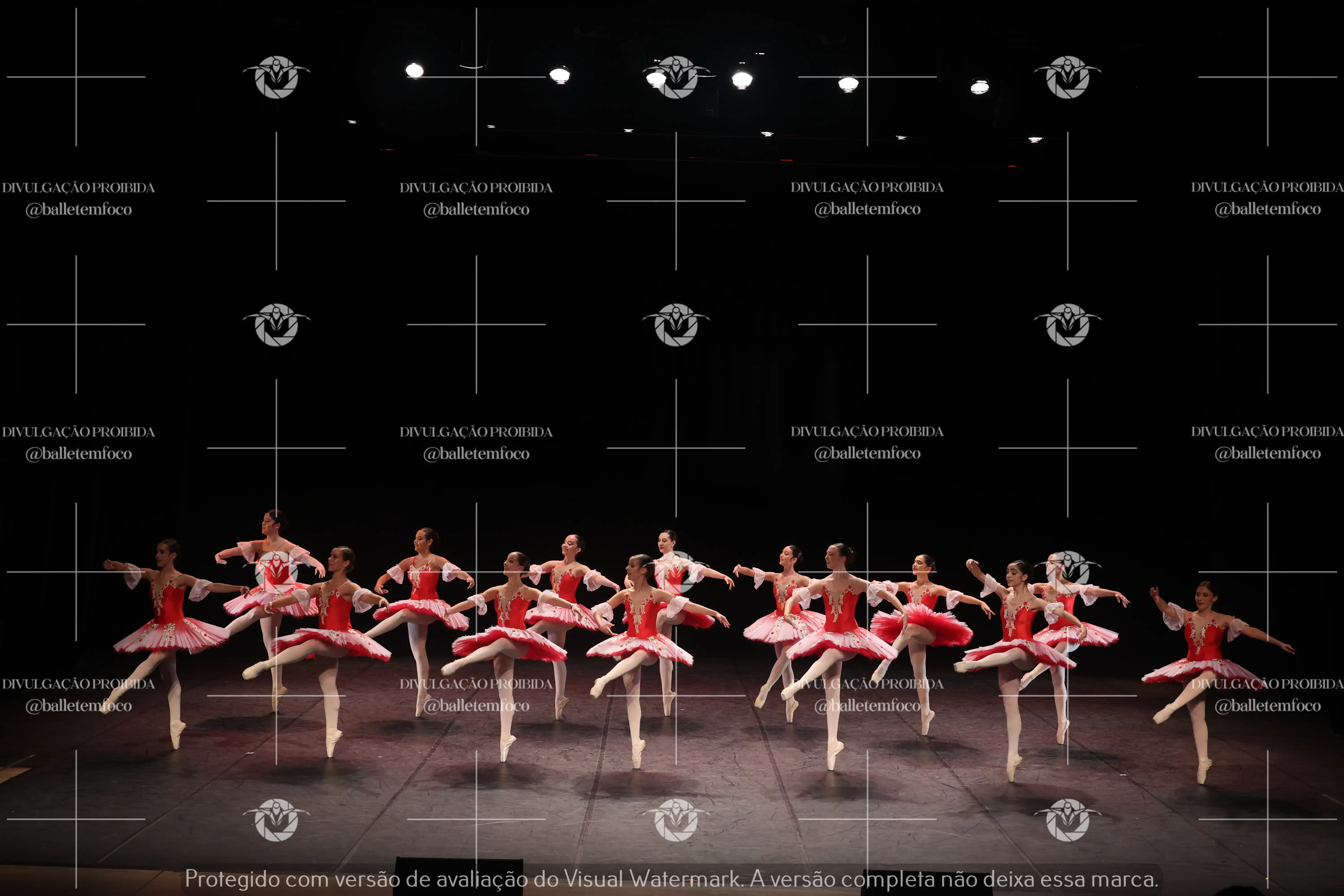 1325_194C (219).webp