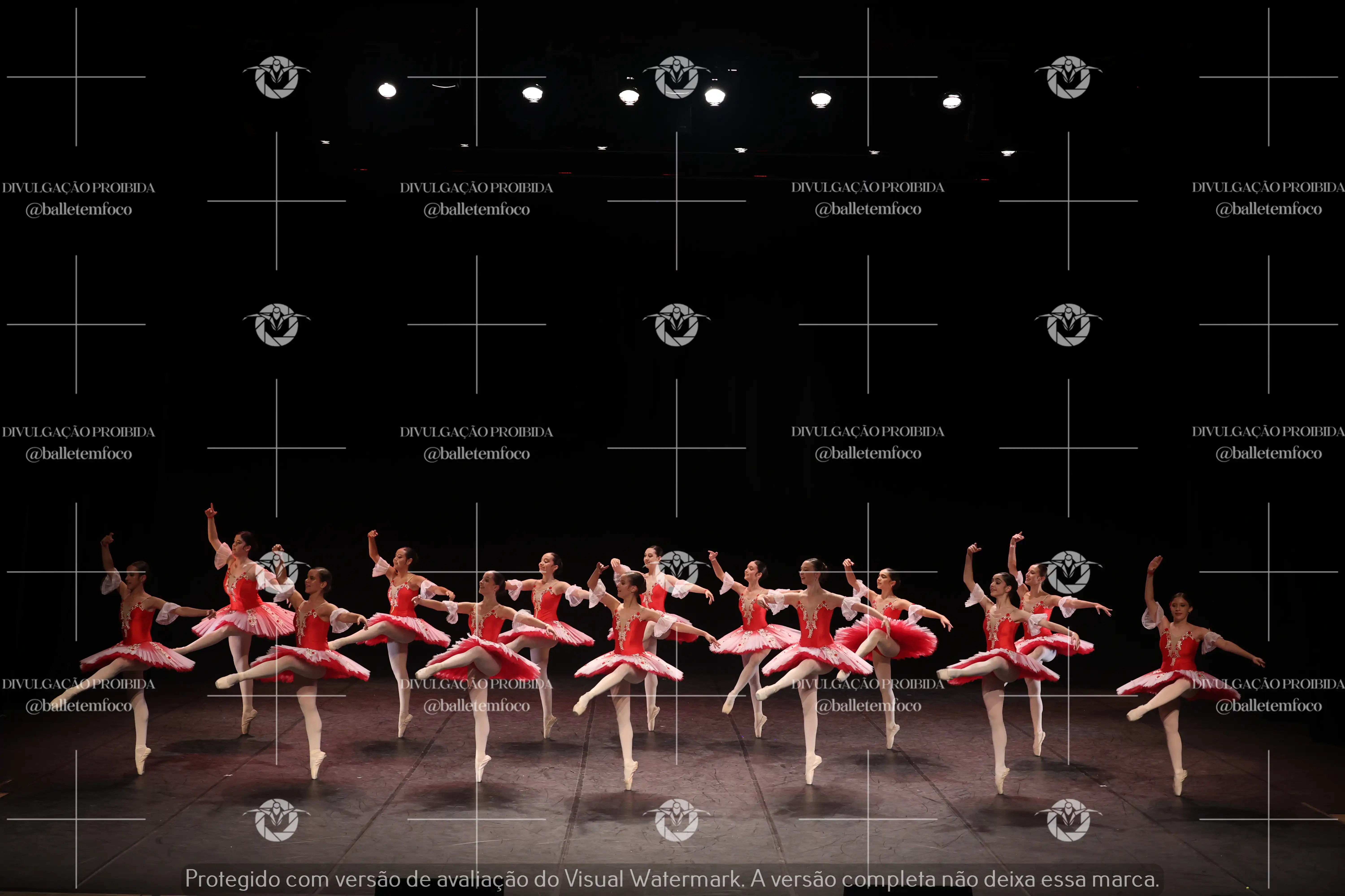 1325_194C (220).webp