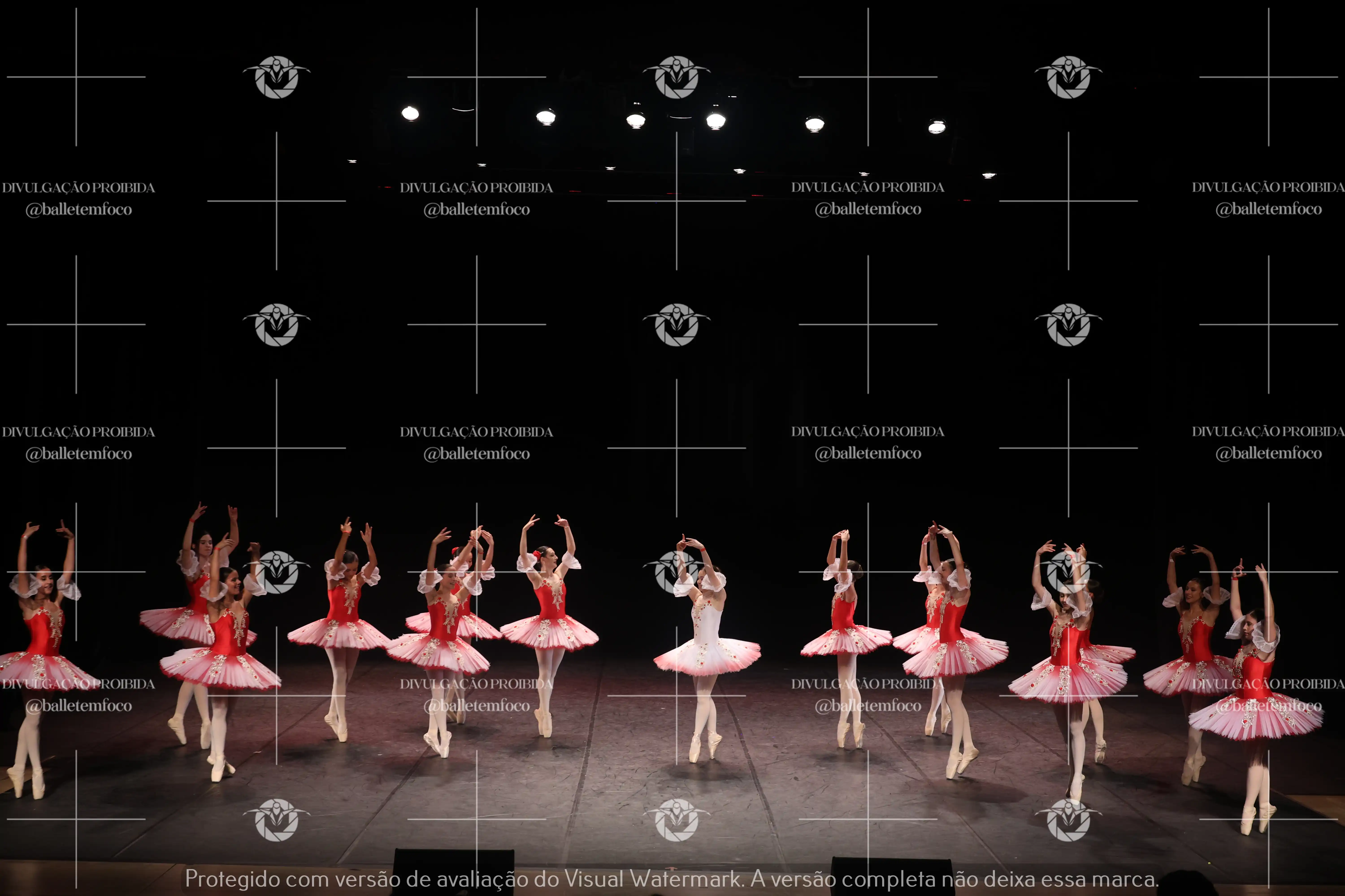 1325_194C (227).webp