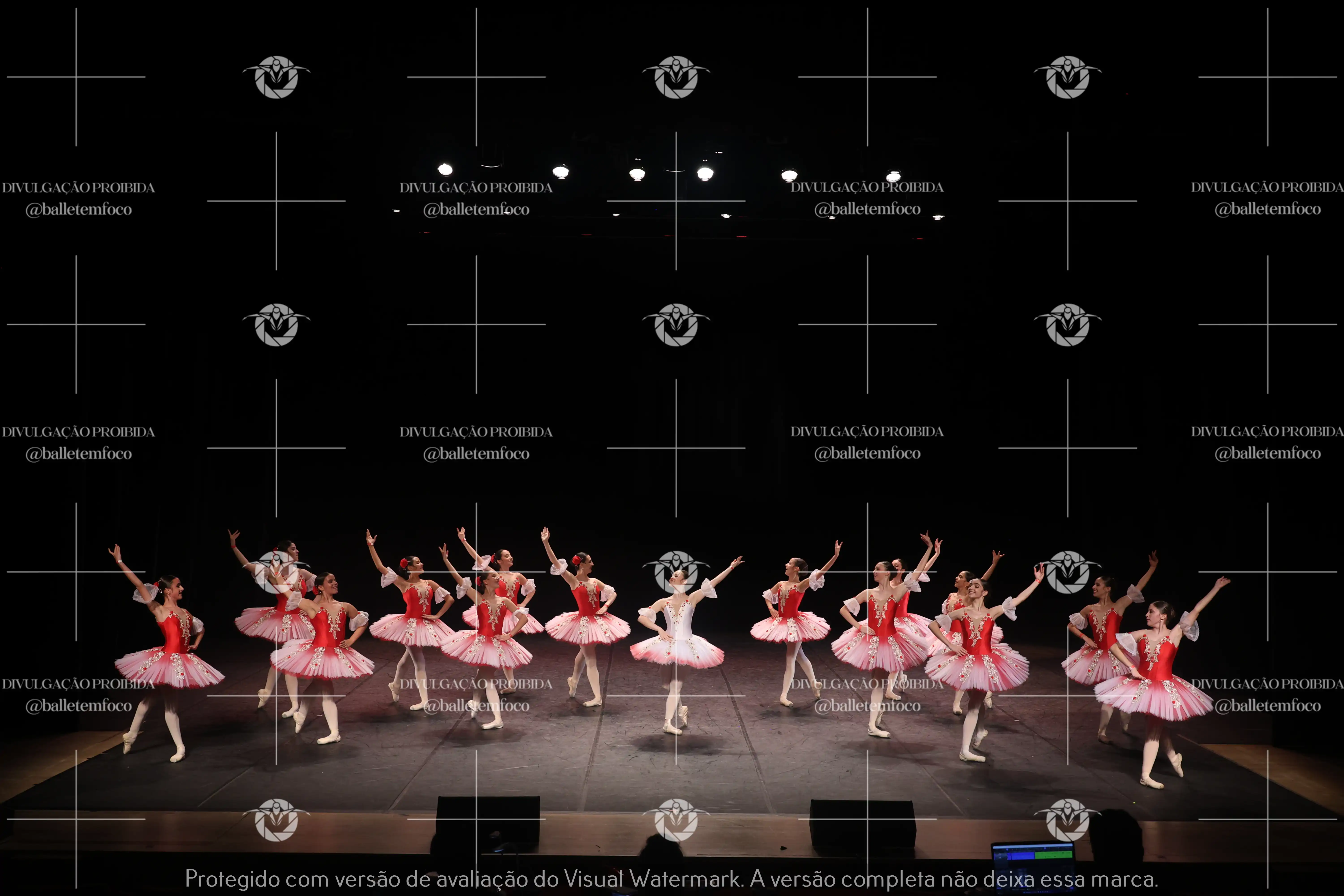 1325_194C (228).webp