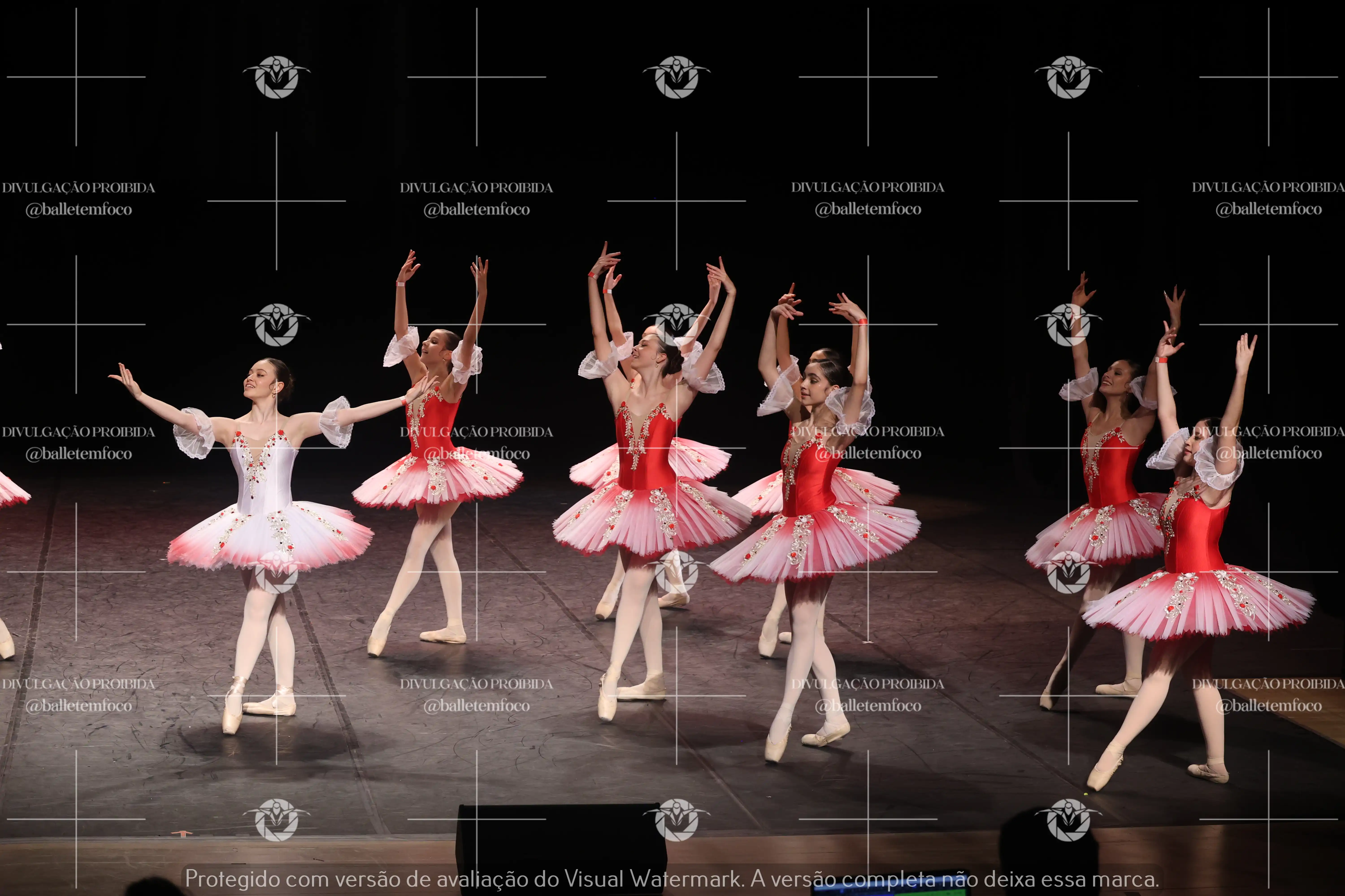 1325_194C (231).webp