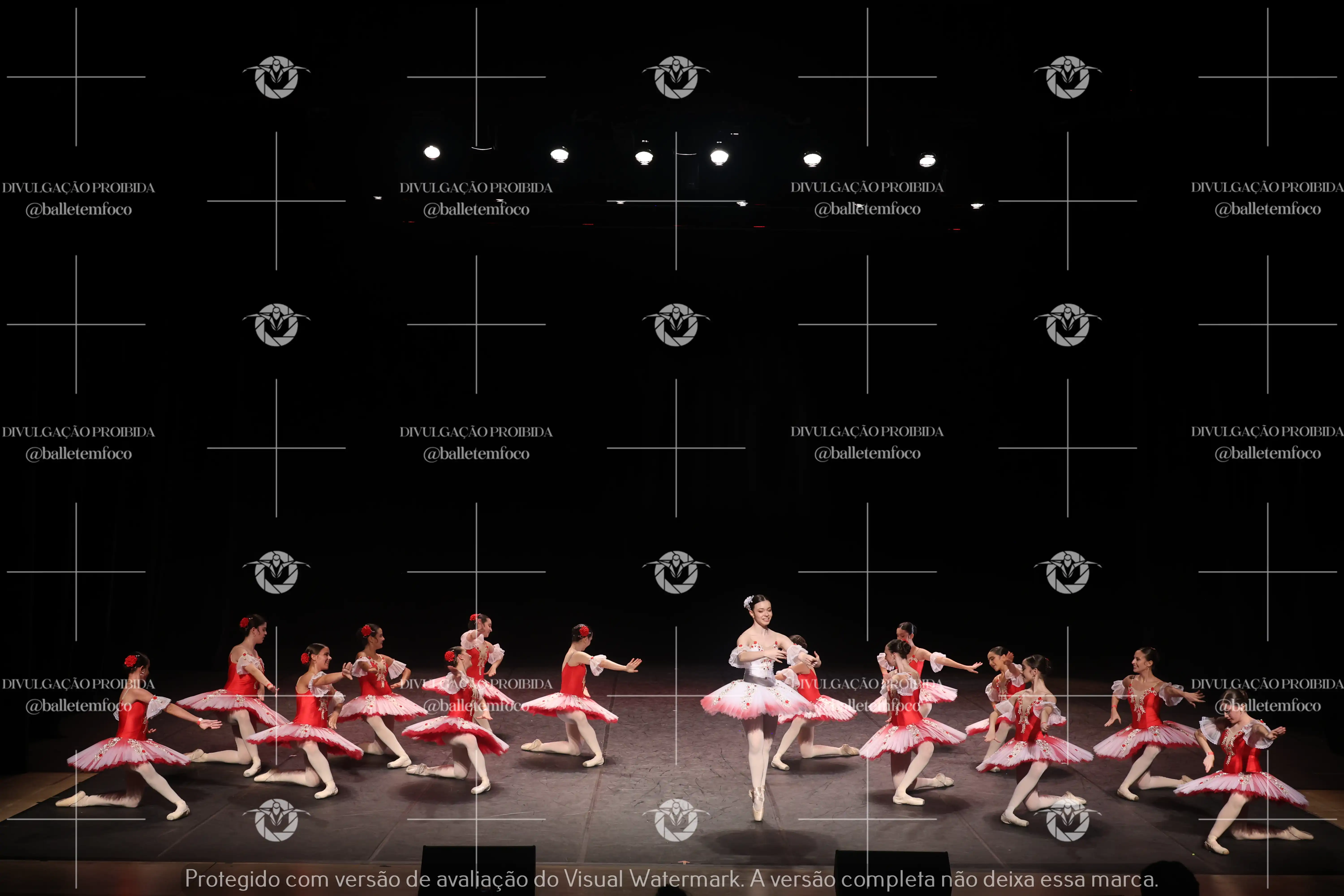 1325_194C (232).webp