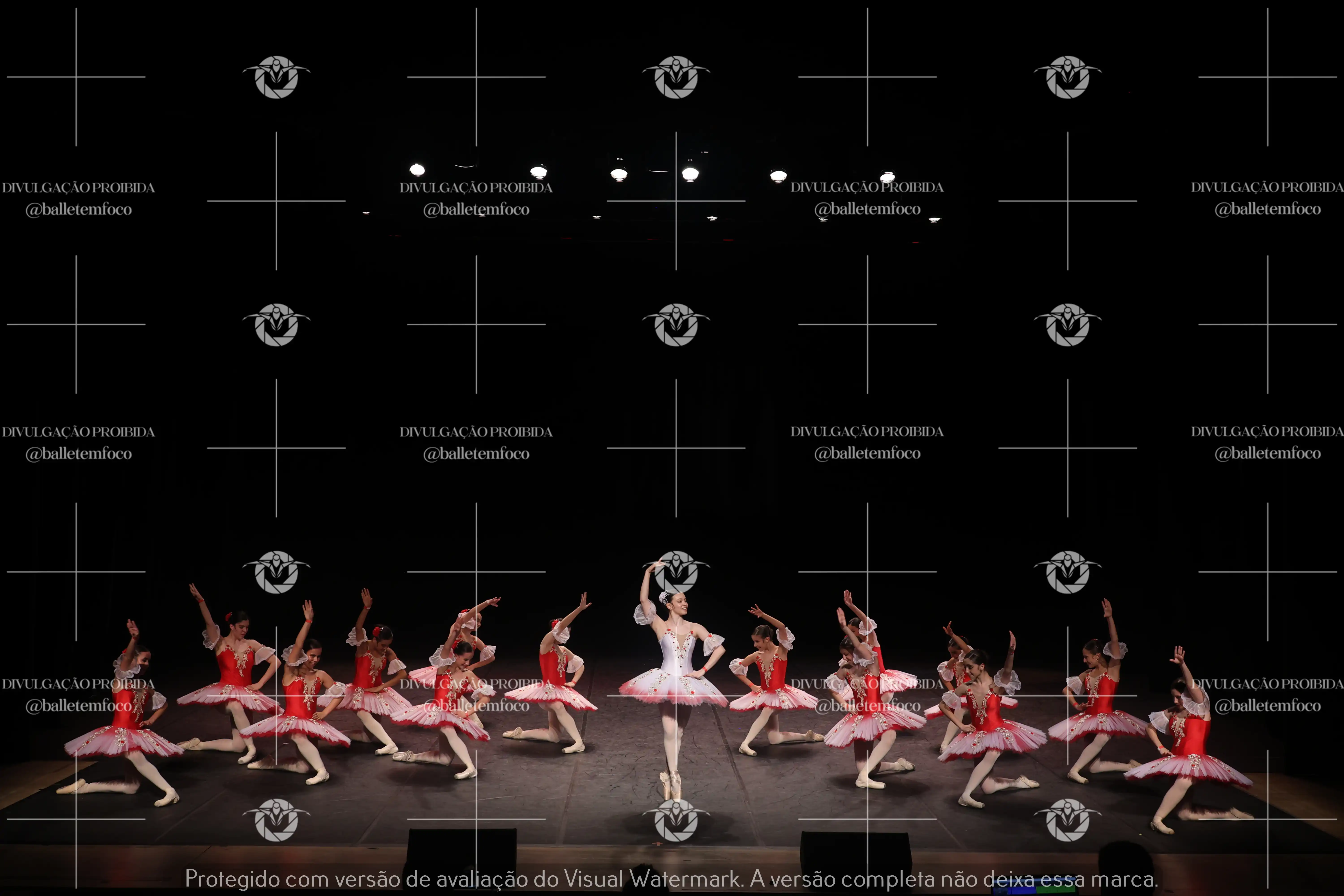 1325_194C (233).webp