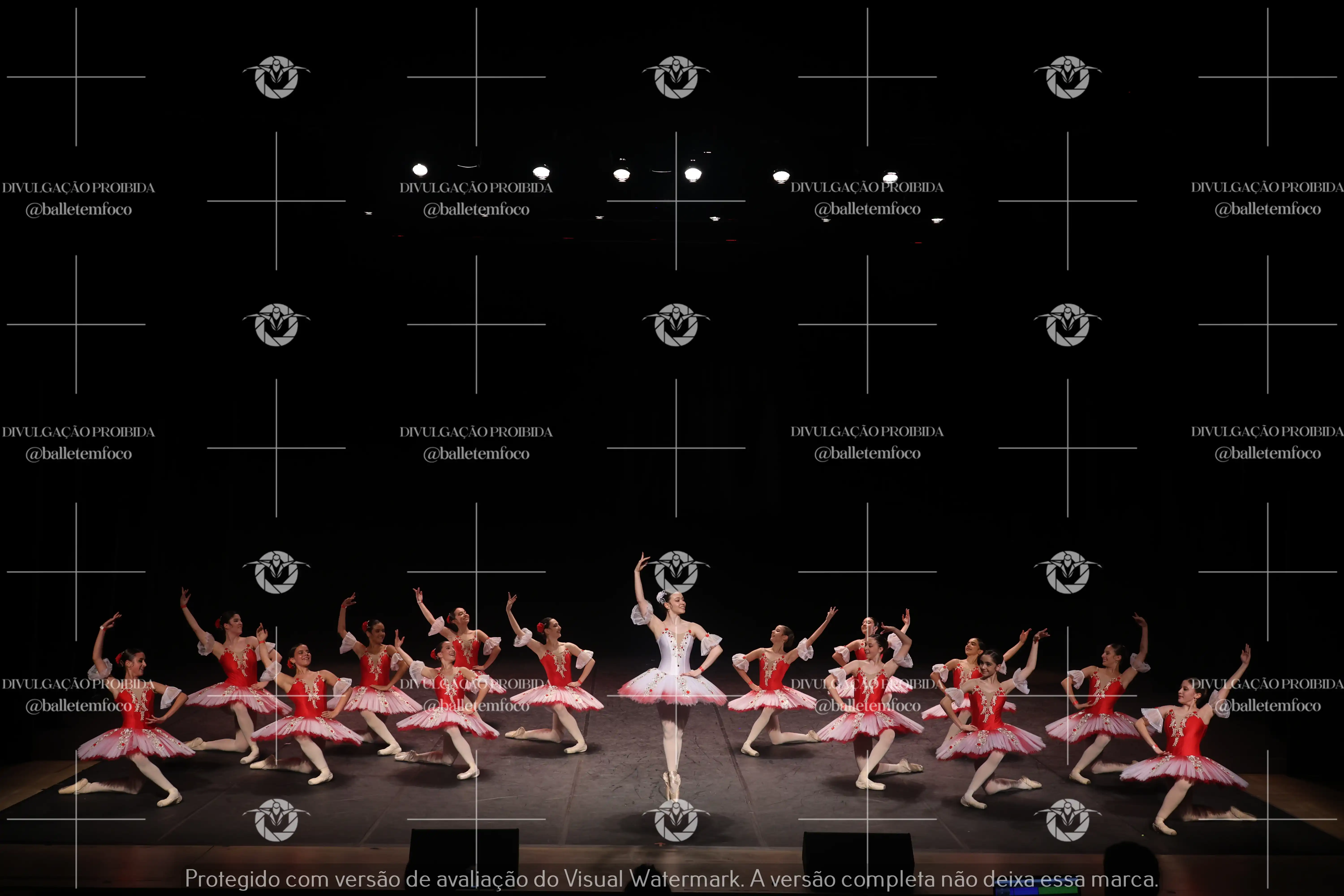 1325_194C (234).webp