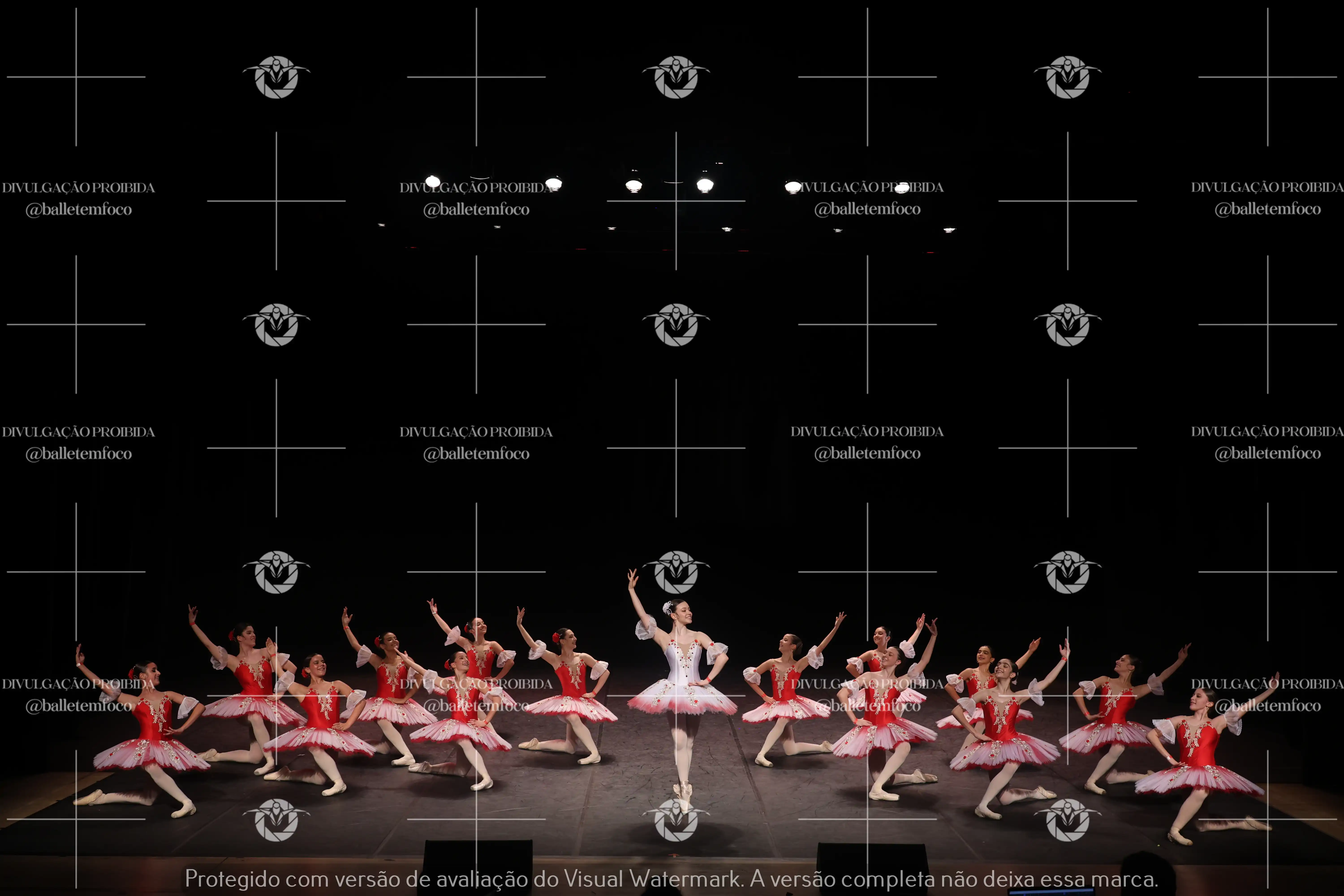 1325_194C (235).webp