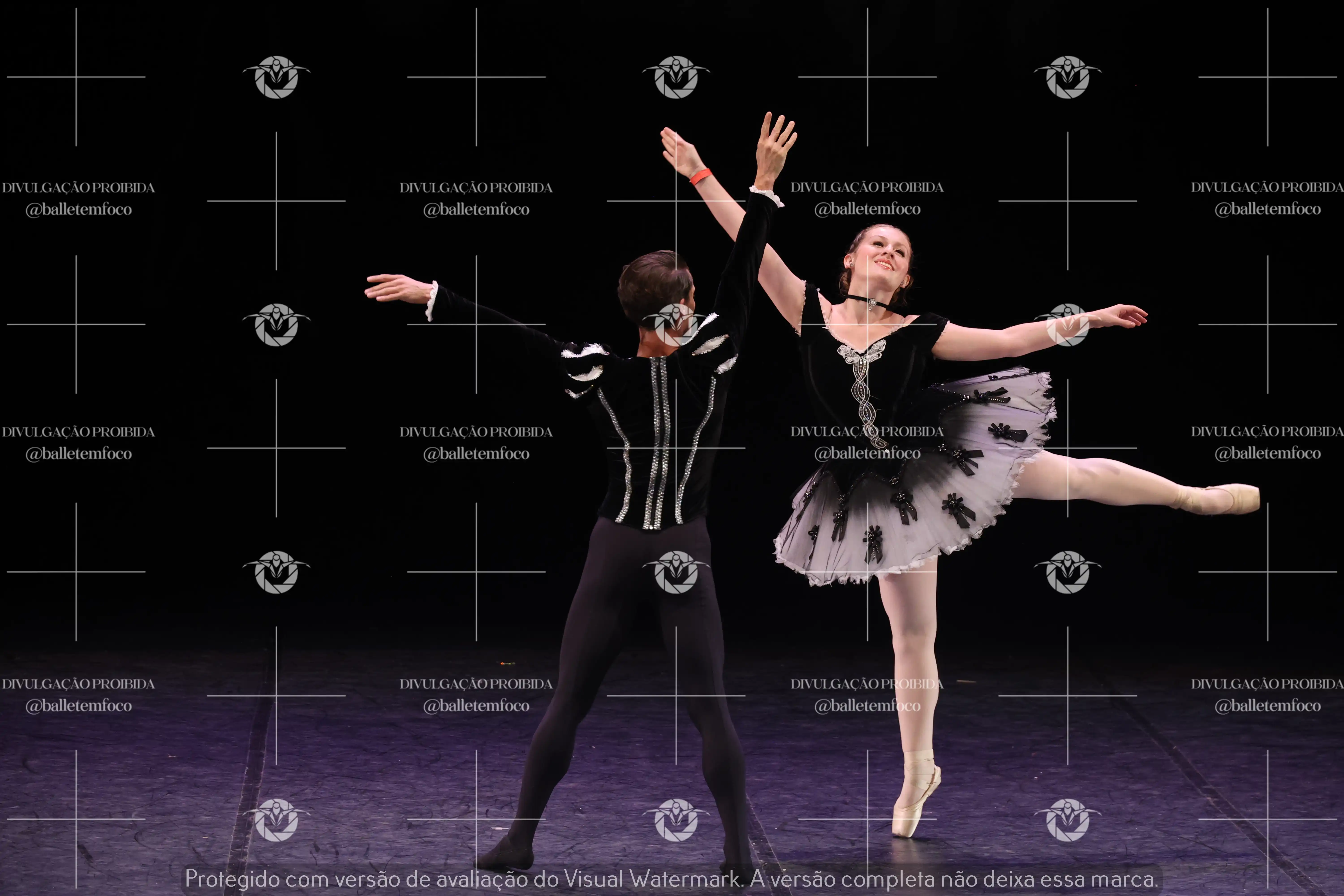 1325_196C (100).webp