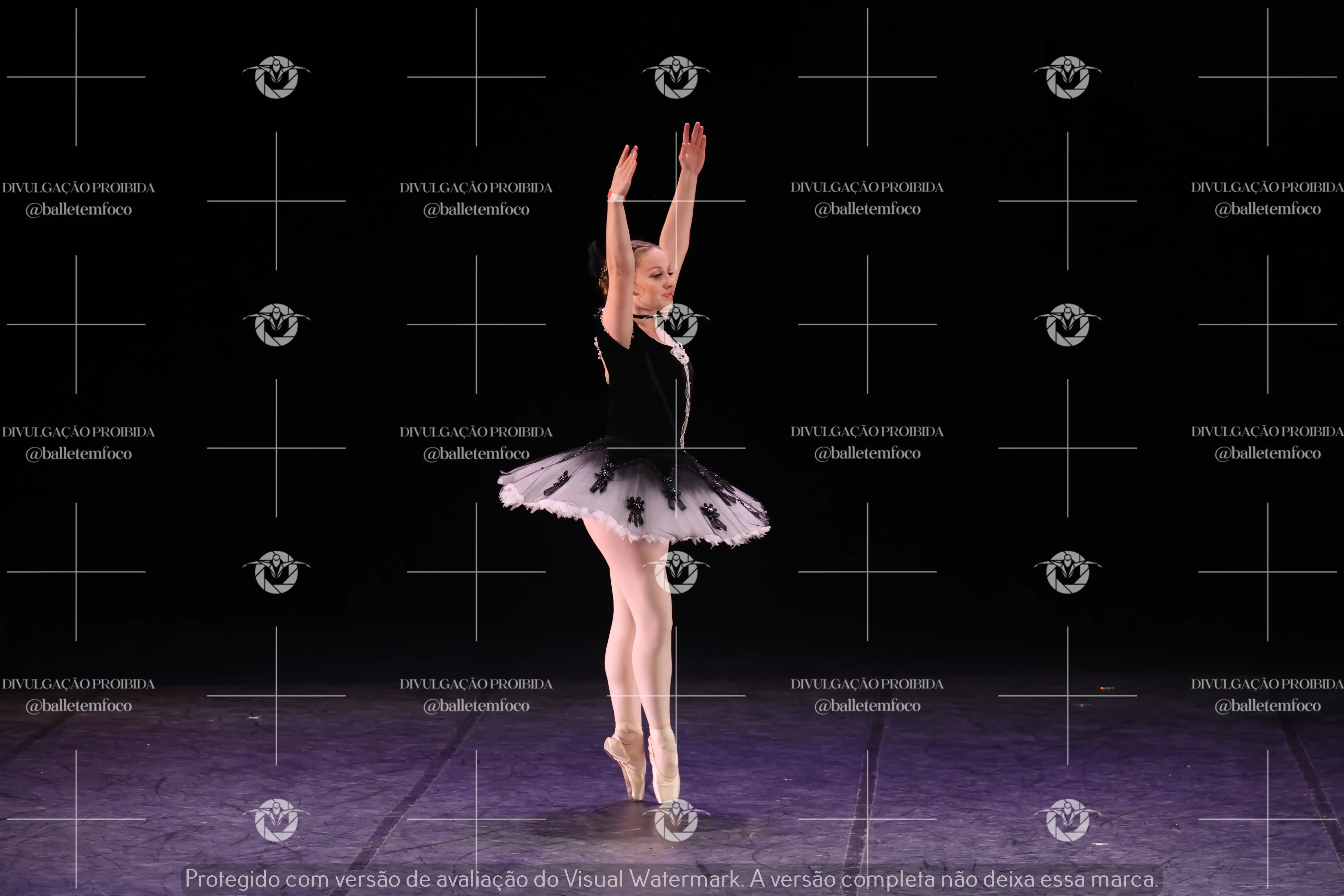 1325_196C (125).webp