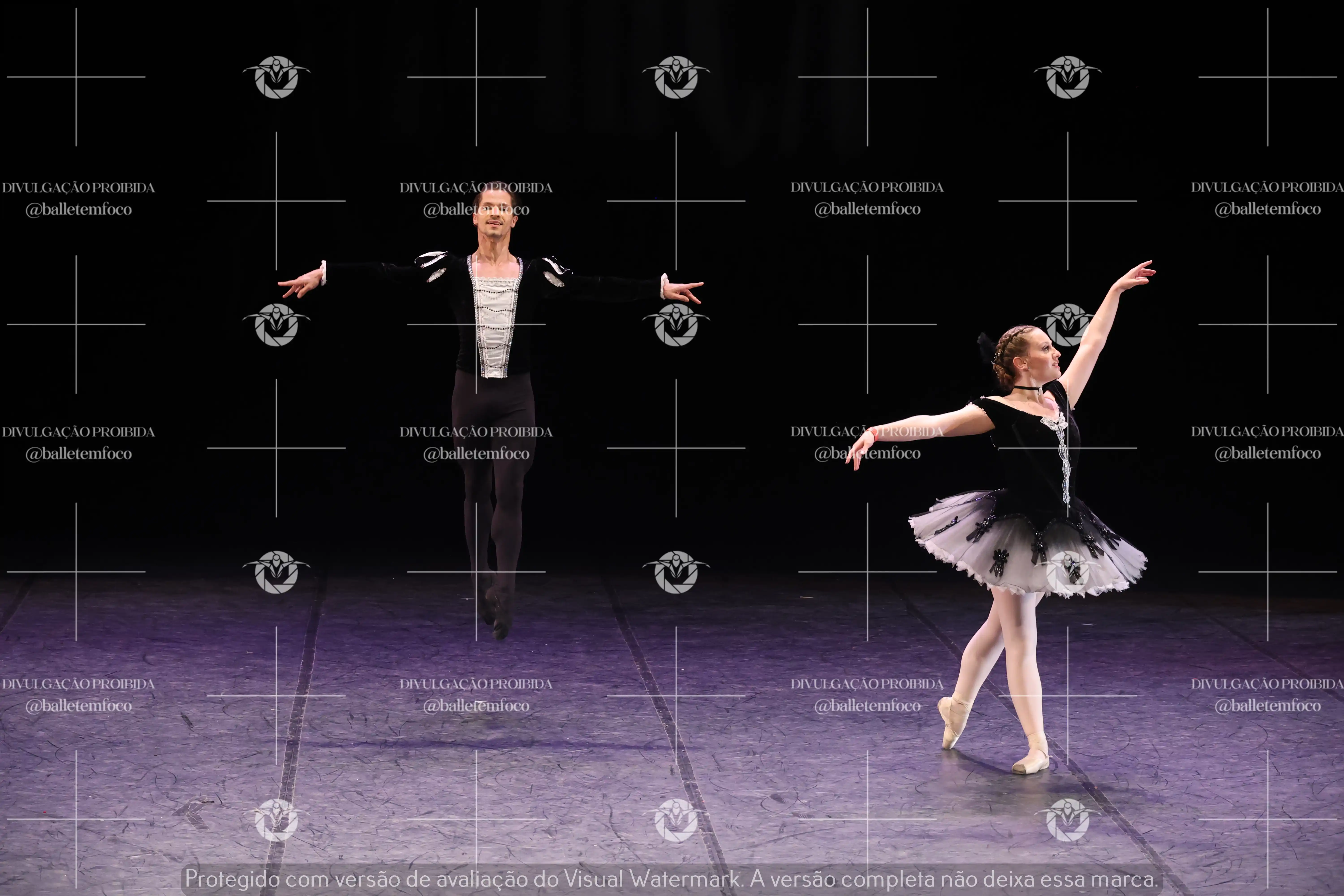 1325_196C (128).webp