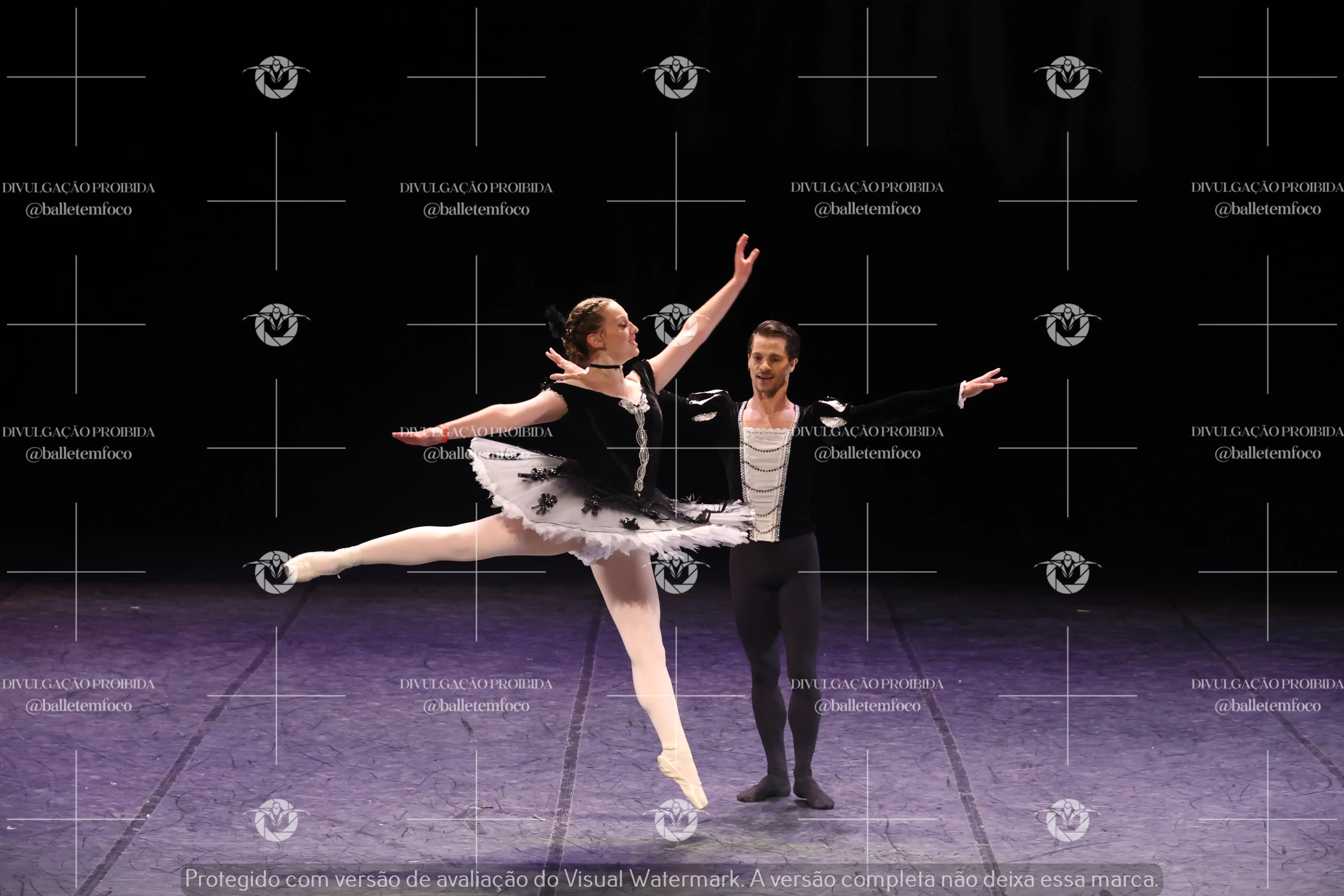 1325_196C (133).webp