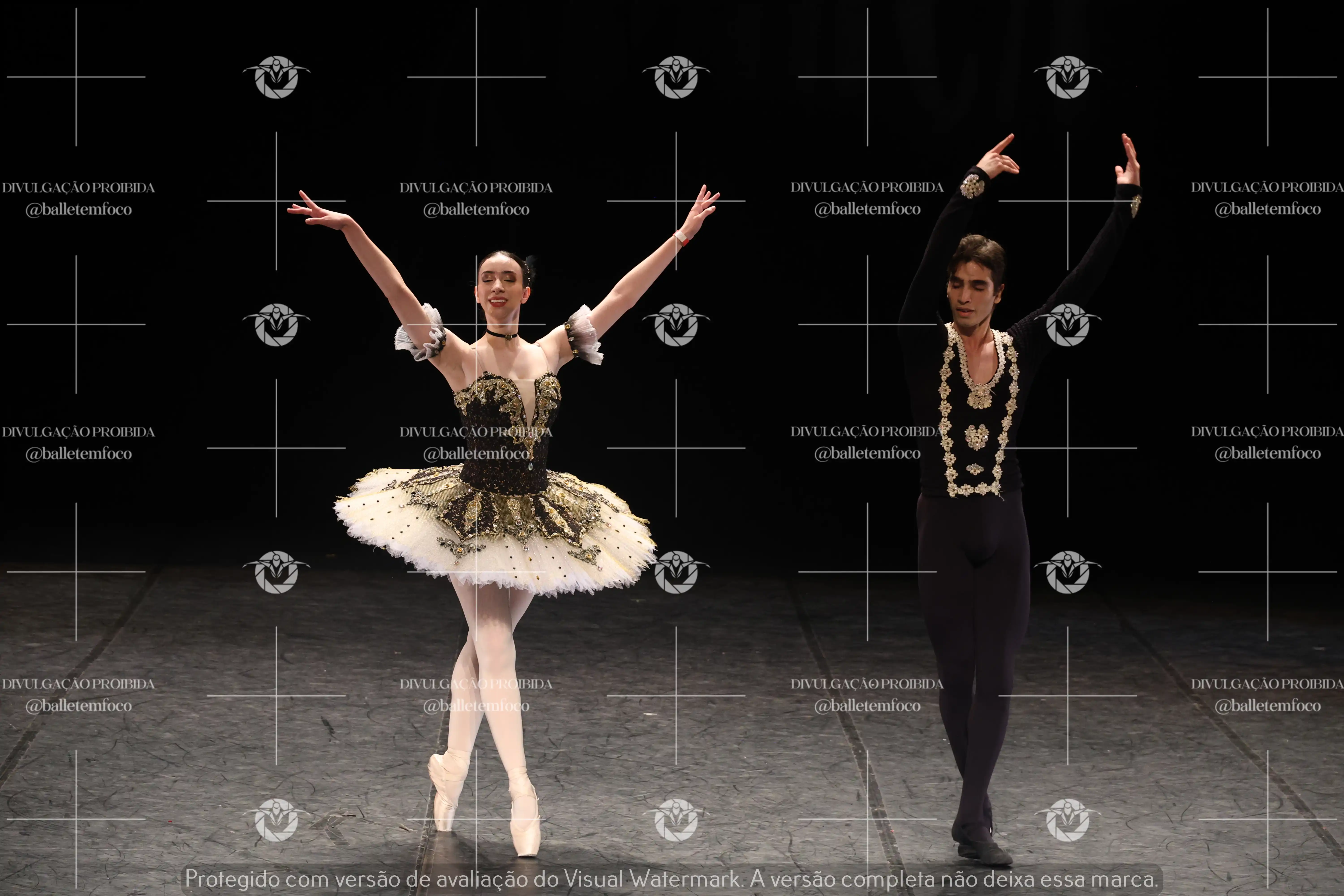 1325_197C (100).webp