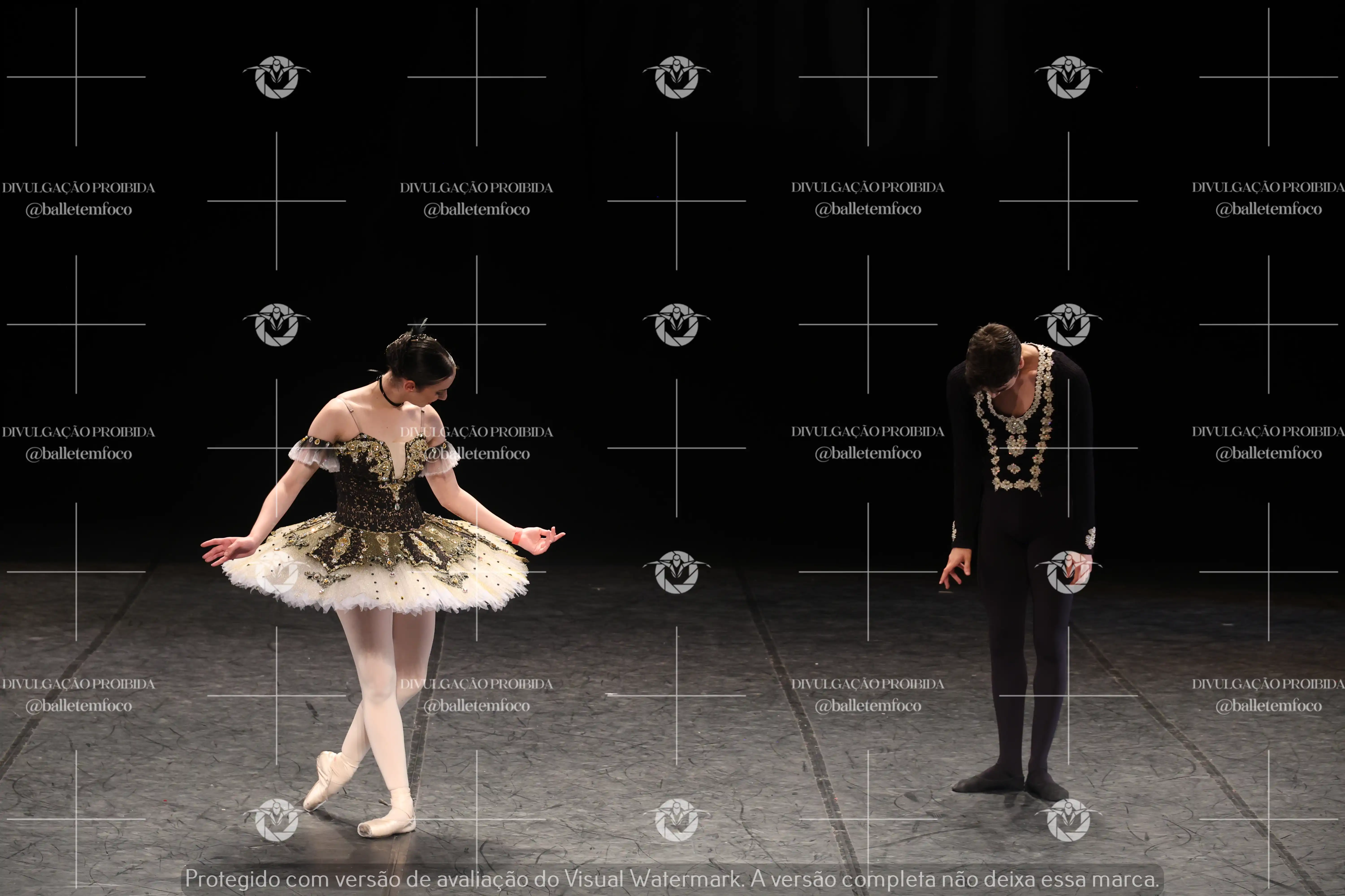 1325_197C (106).webp