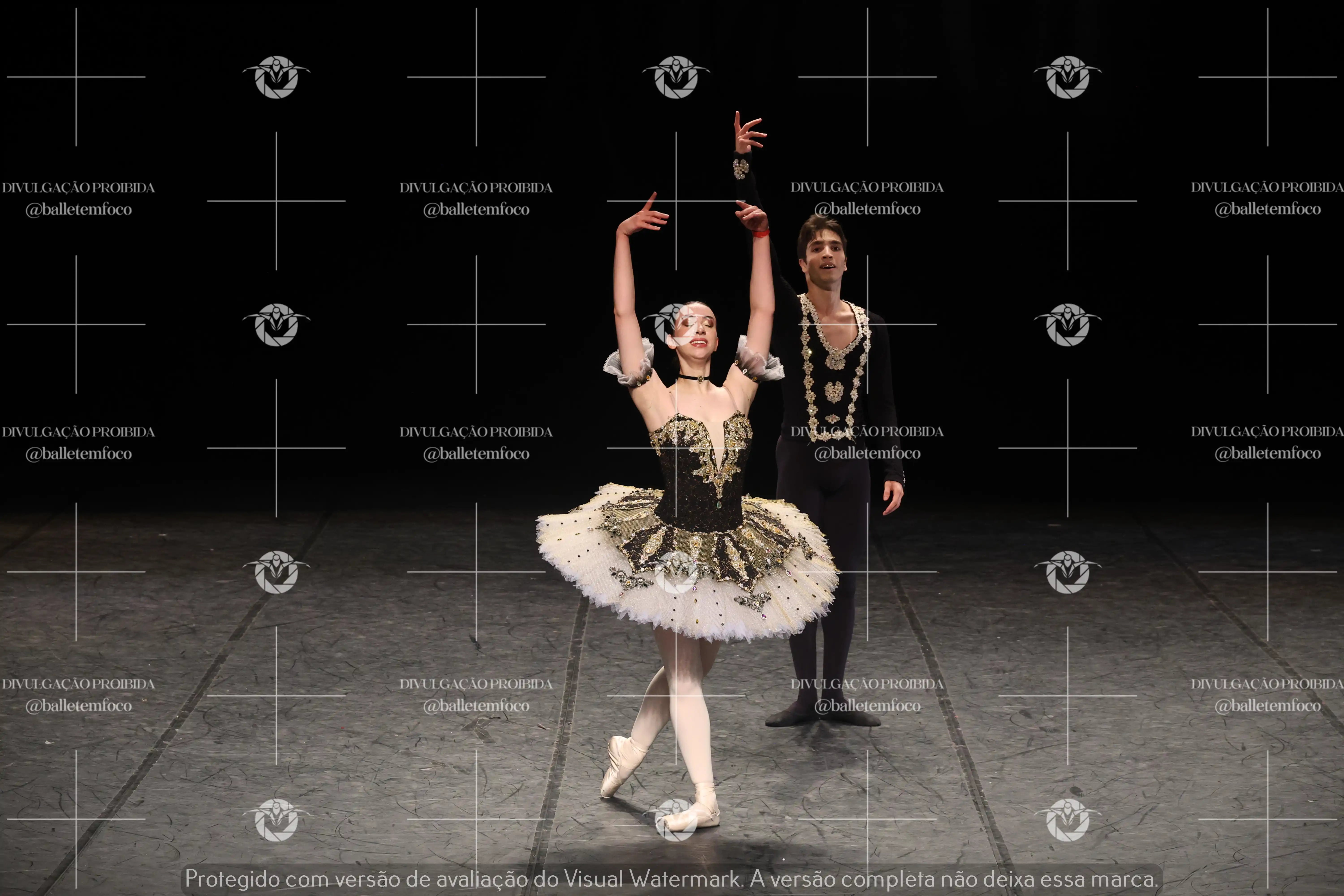 1325_197C (133).webp