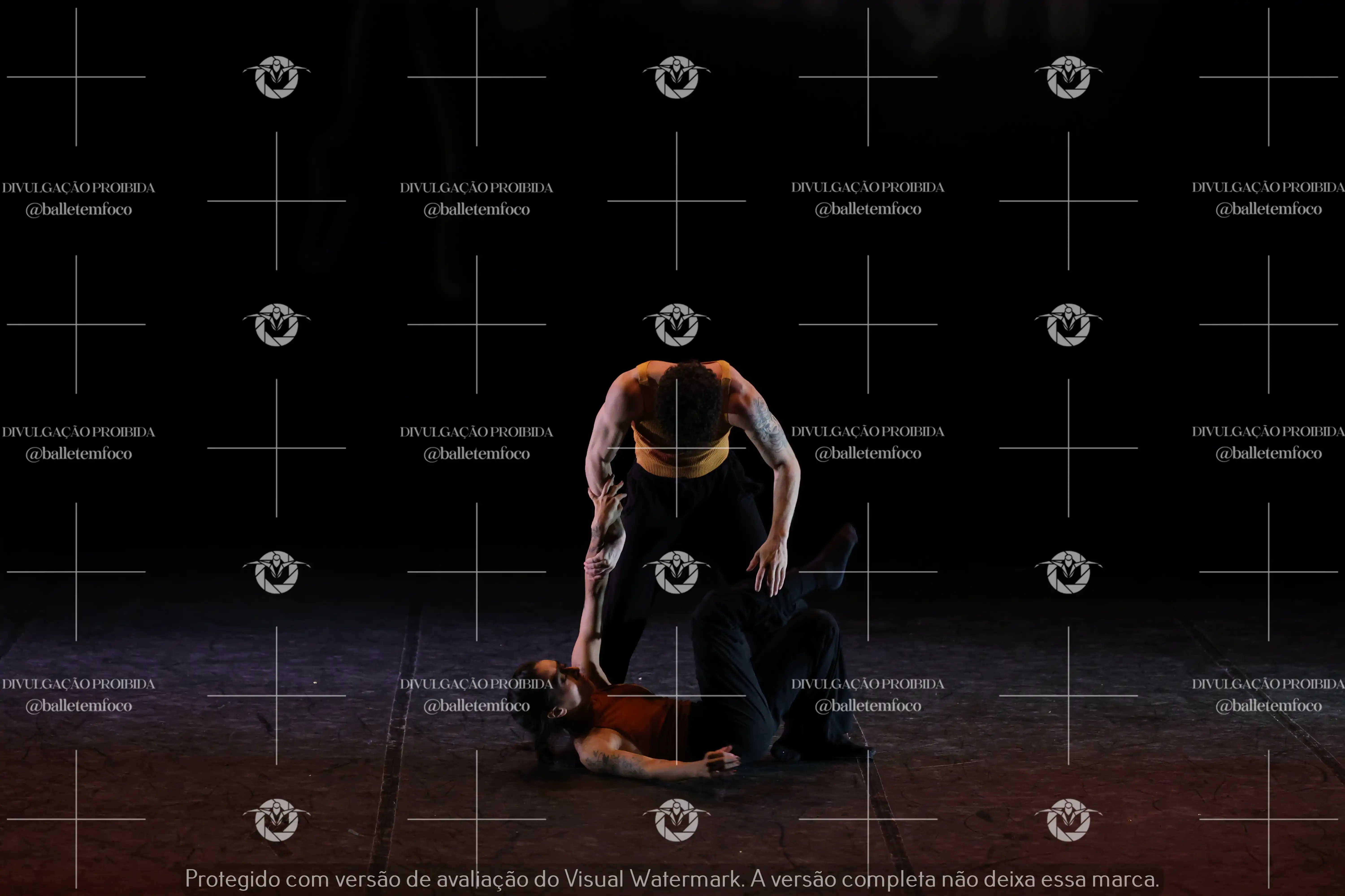 1325_216C (100).webp