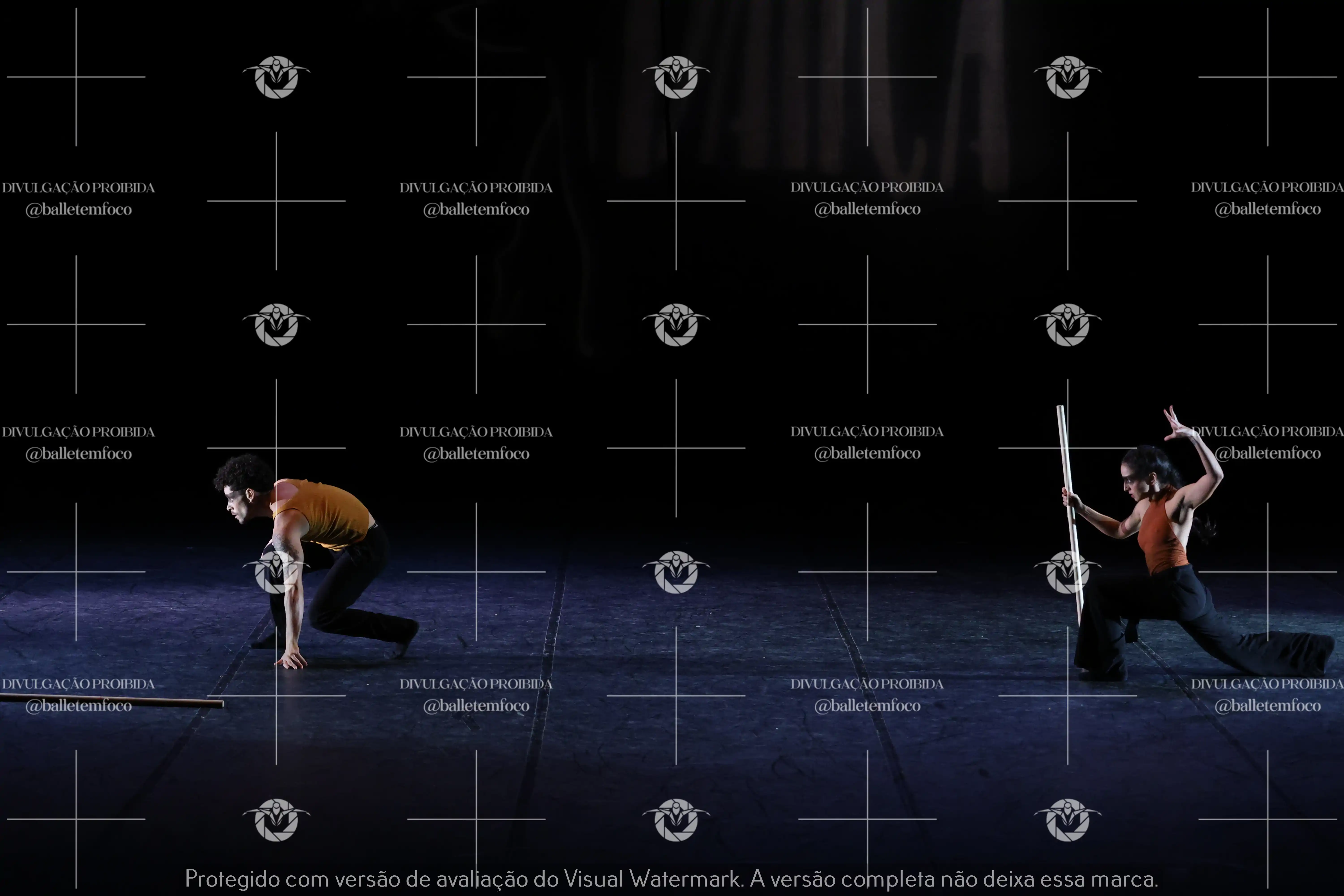 1325_216C (115).webp