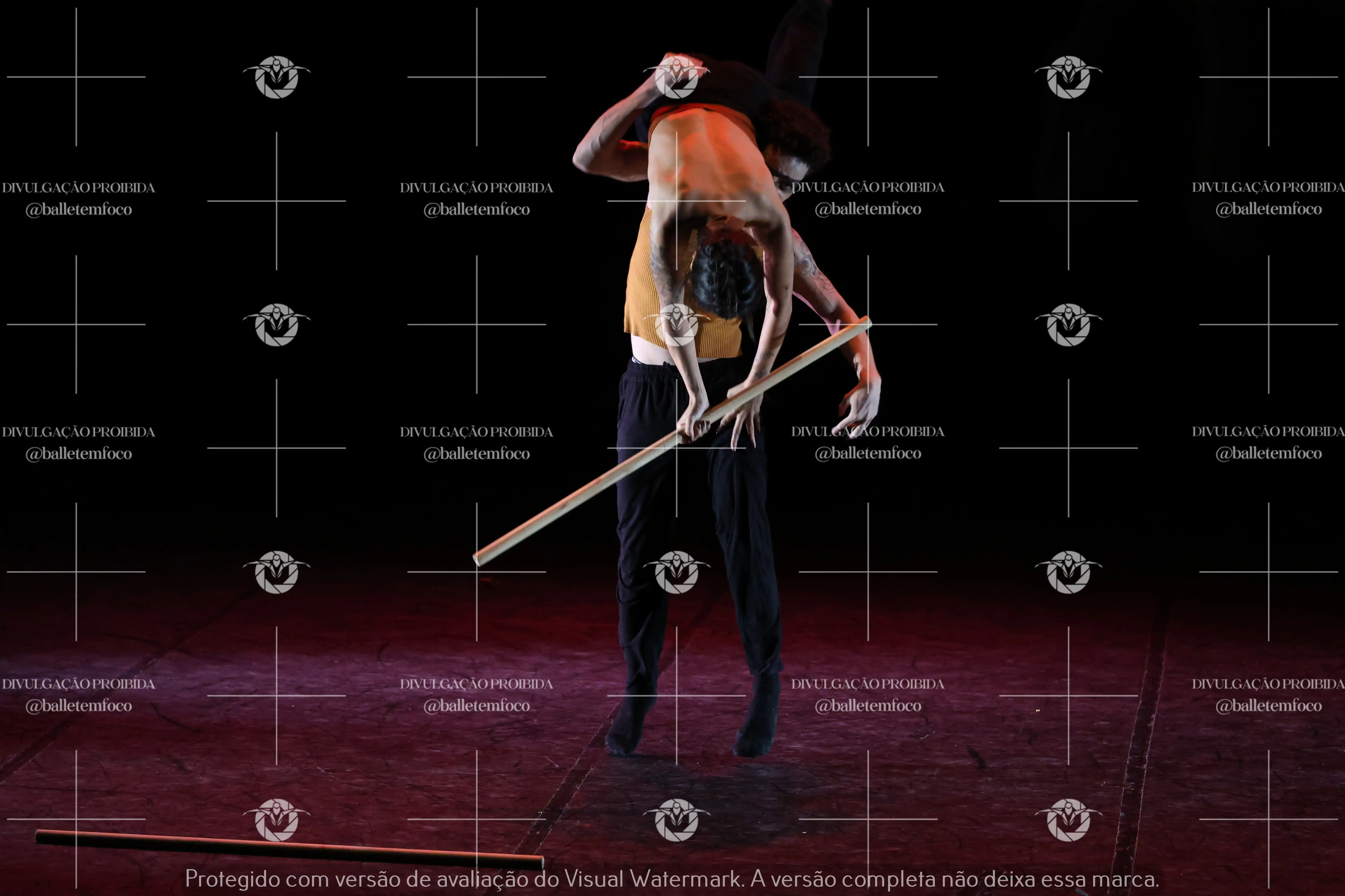 1325_216C (118).webp