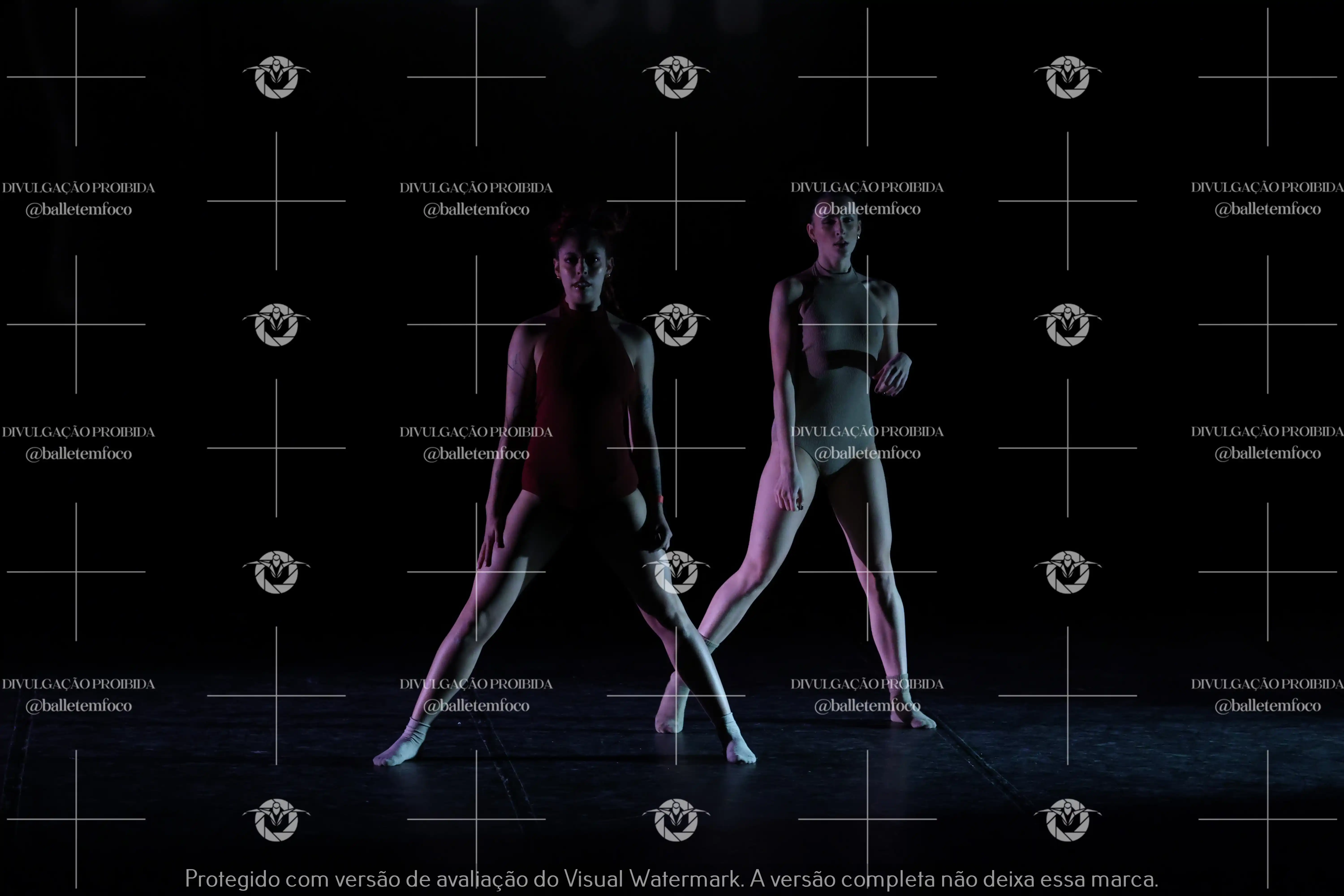 1325_217C (101).webp