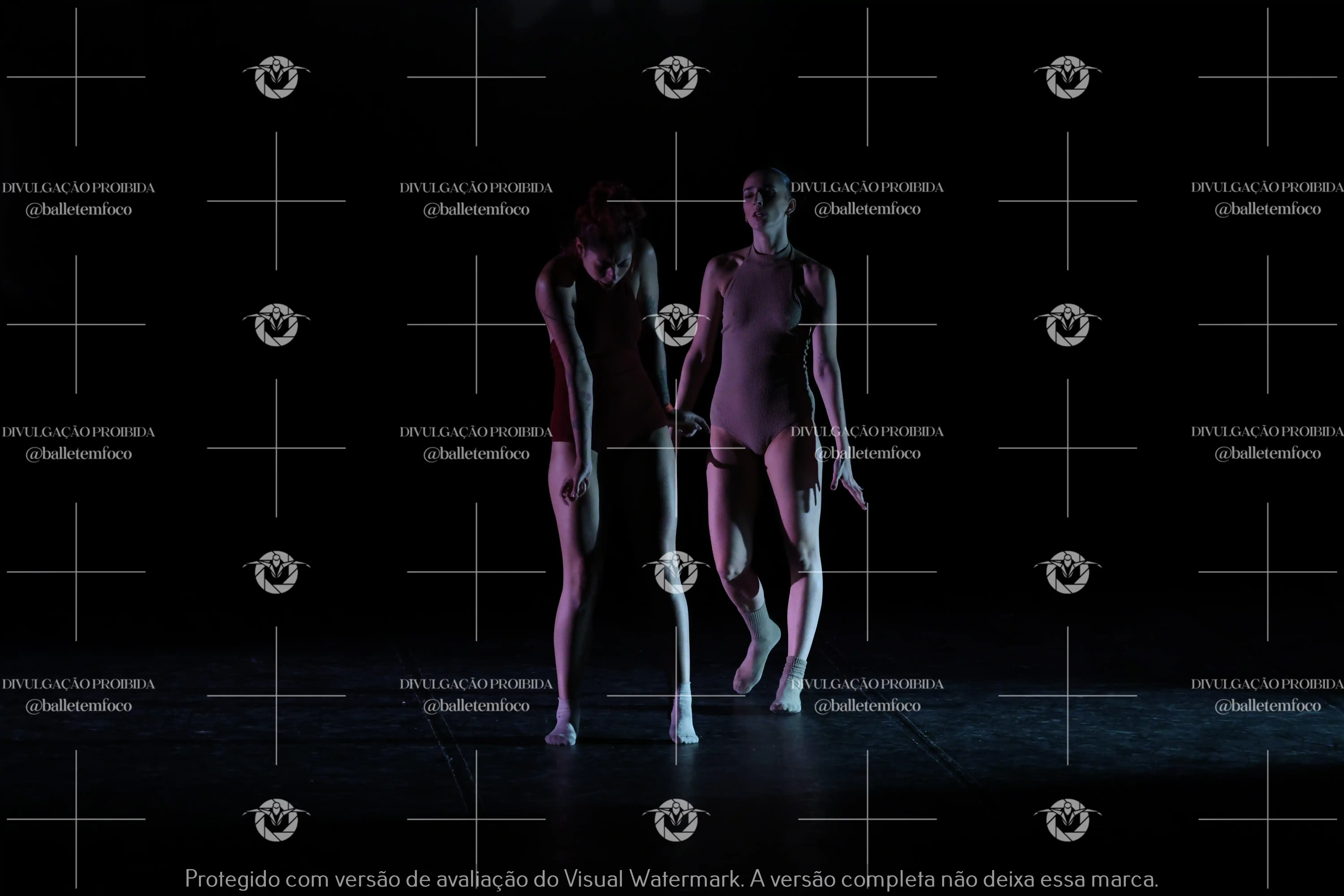 1325_217C (103).webp