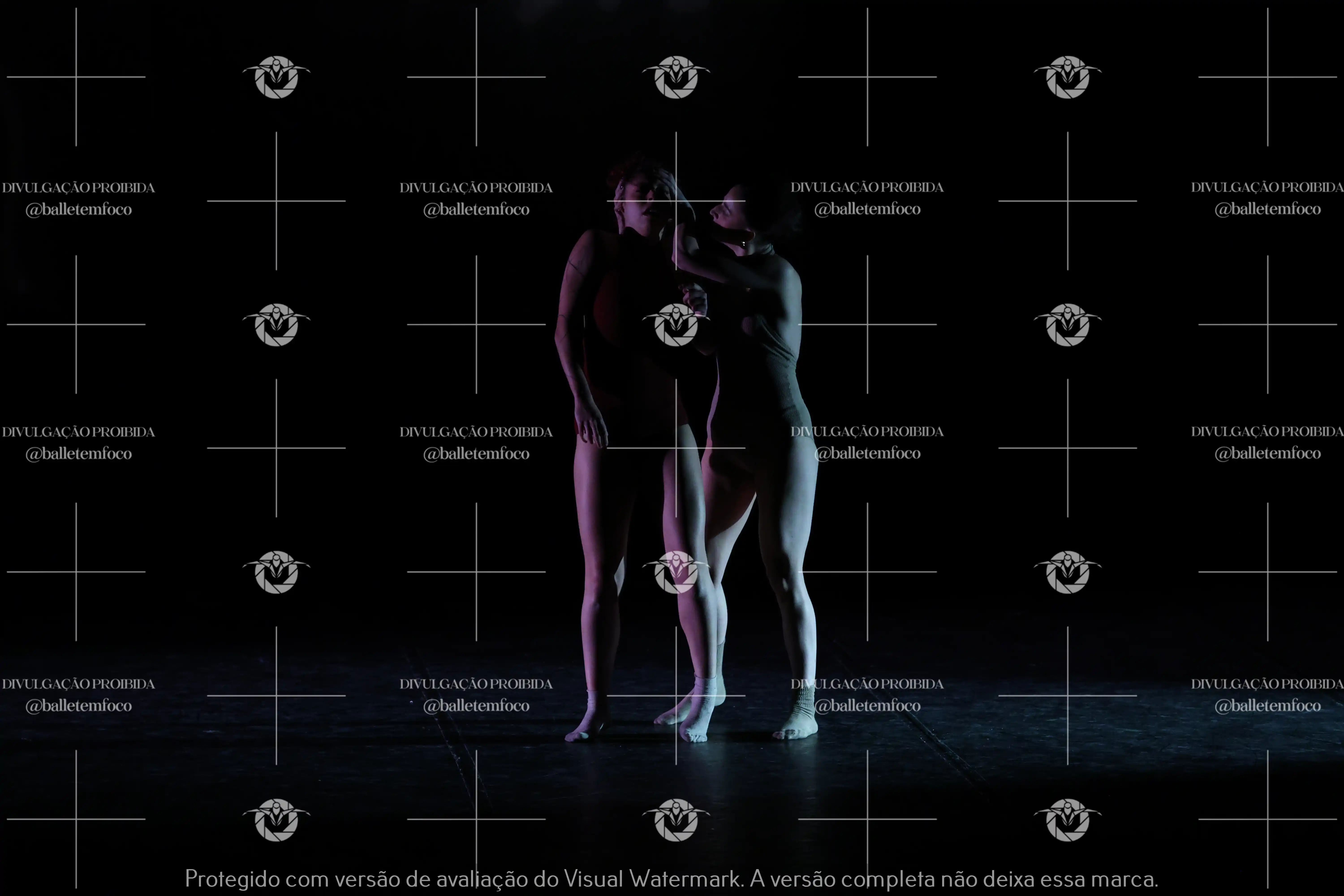 1325_217C (104).webp