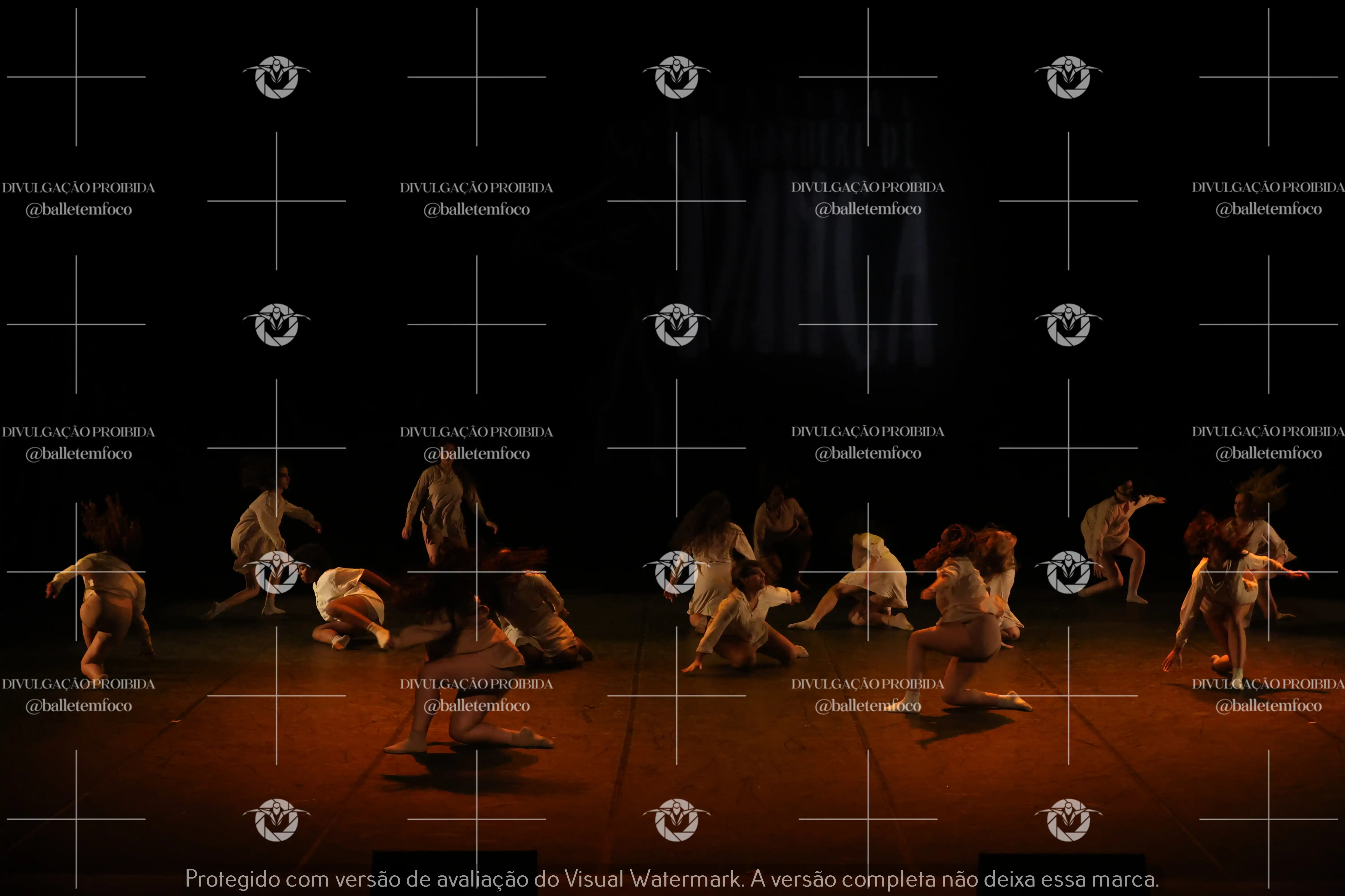 1325_218C (100).webp