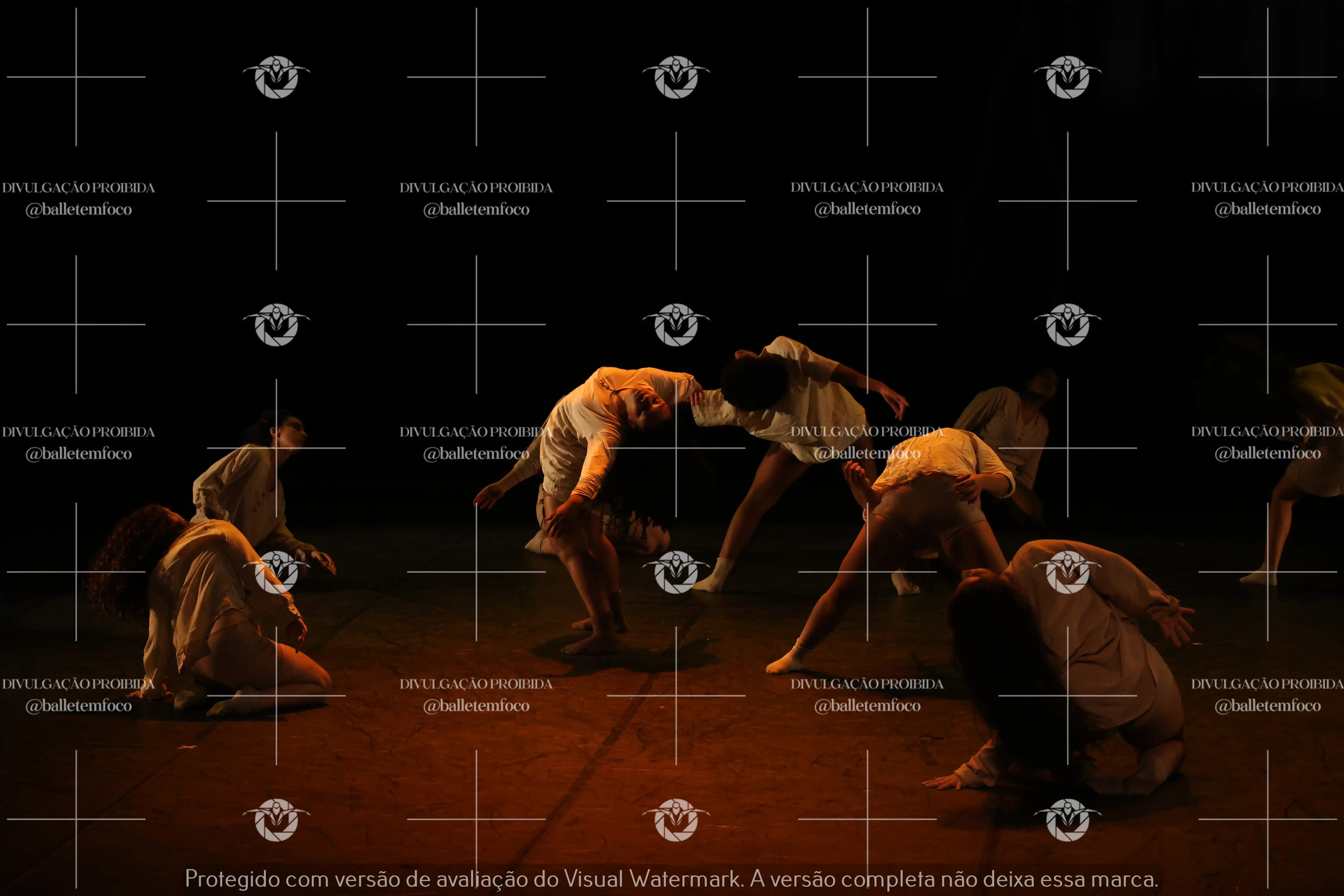 1325_218C (103).webp