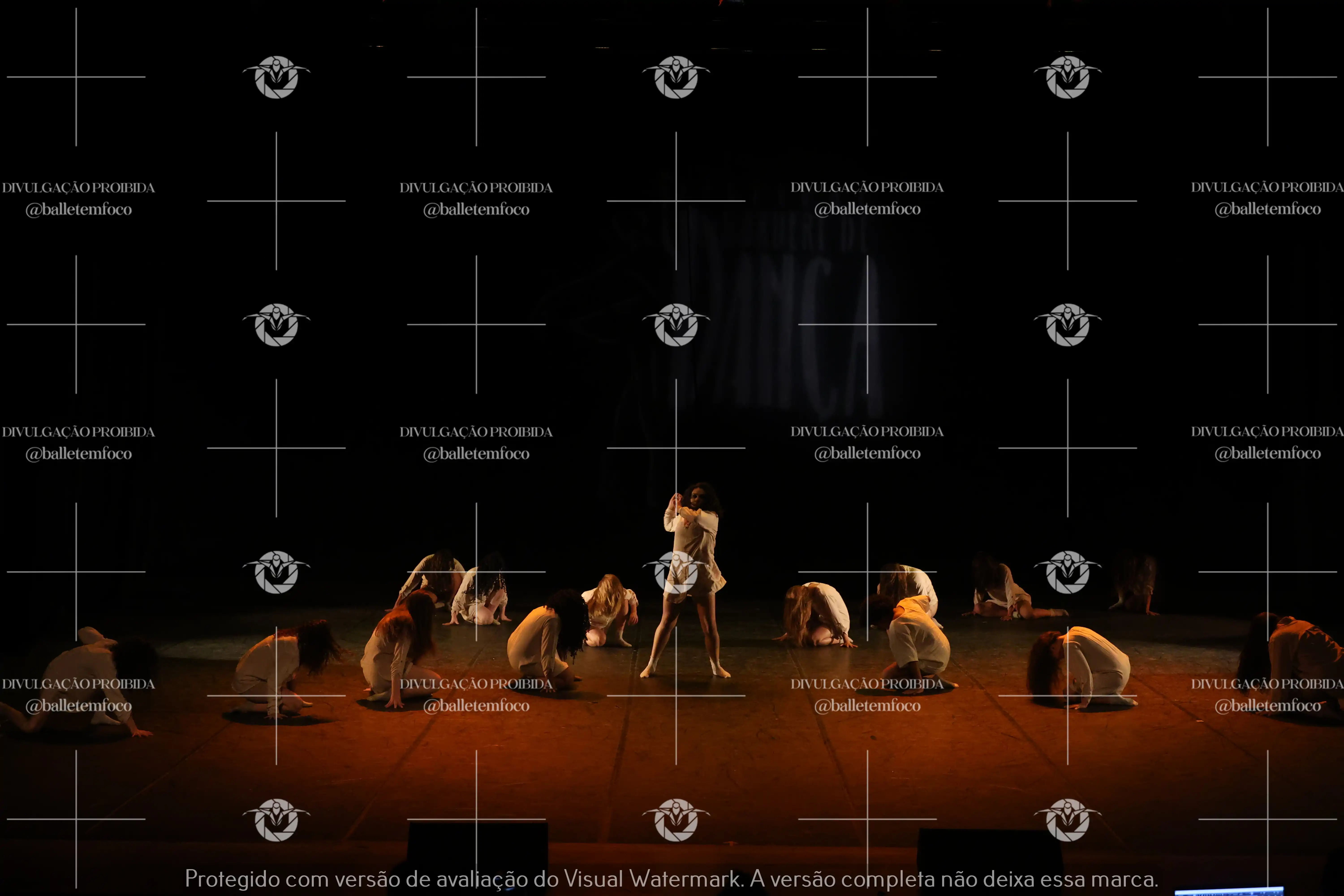 1325_218C (118).webp