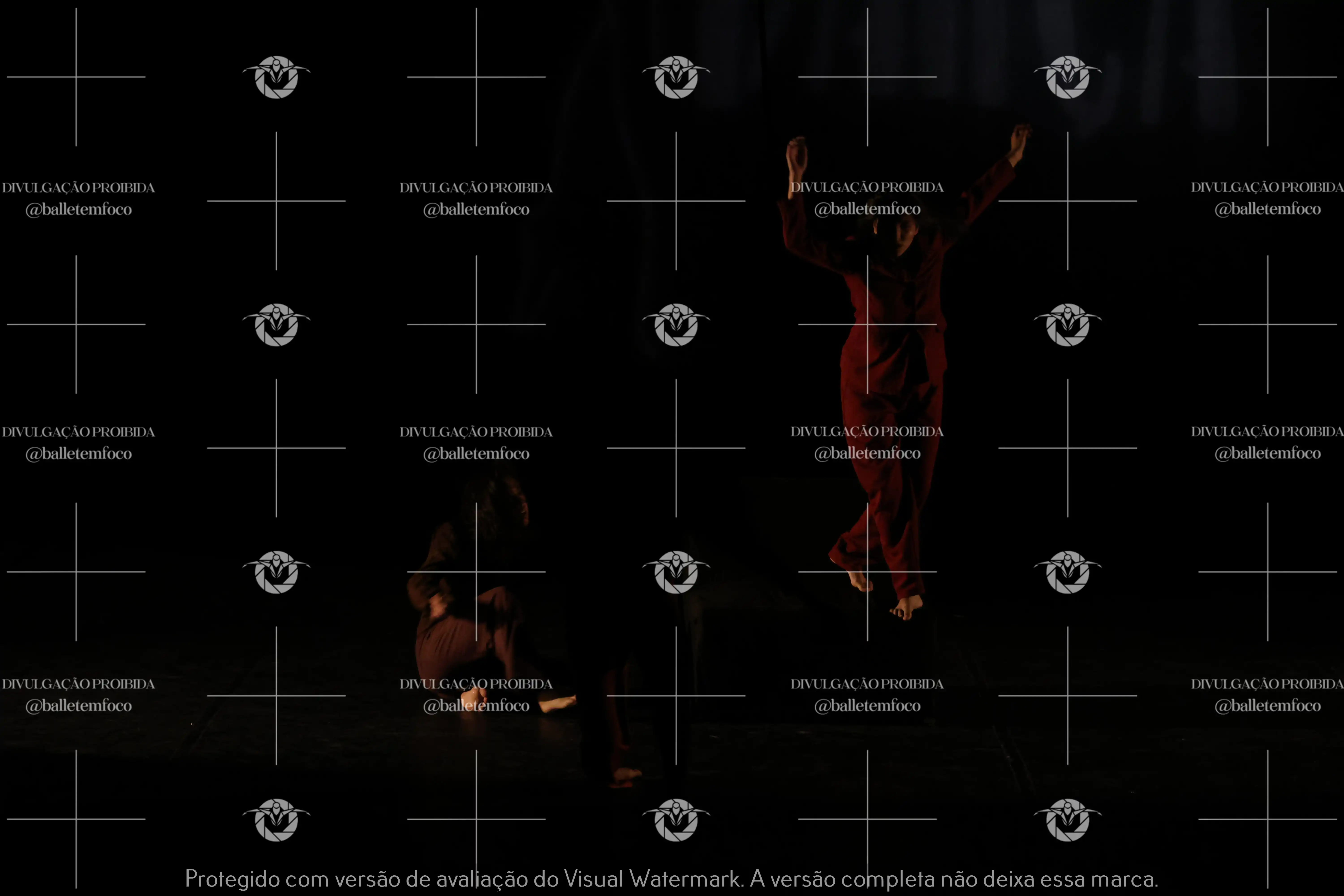 1325_220C (100).webp